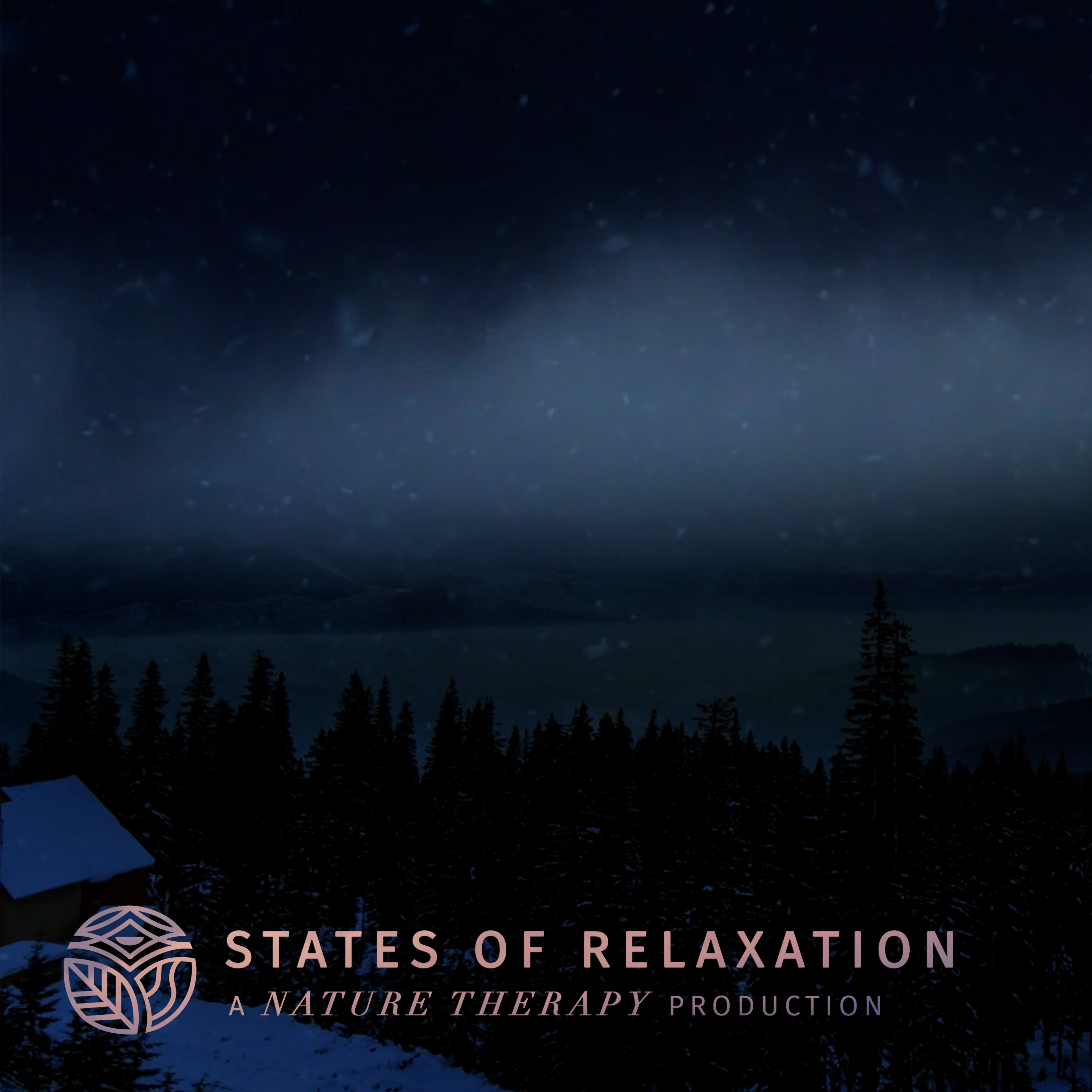 S2 E16: Soothing Sounds Mountain Snowstorm to Fall Asleep FAST | Winter Winds Sounds White Noise episode artwork