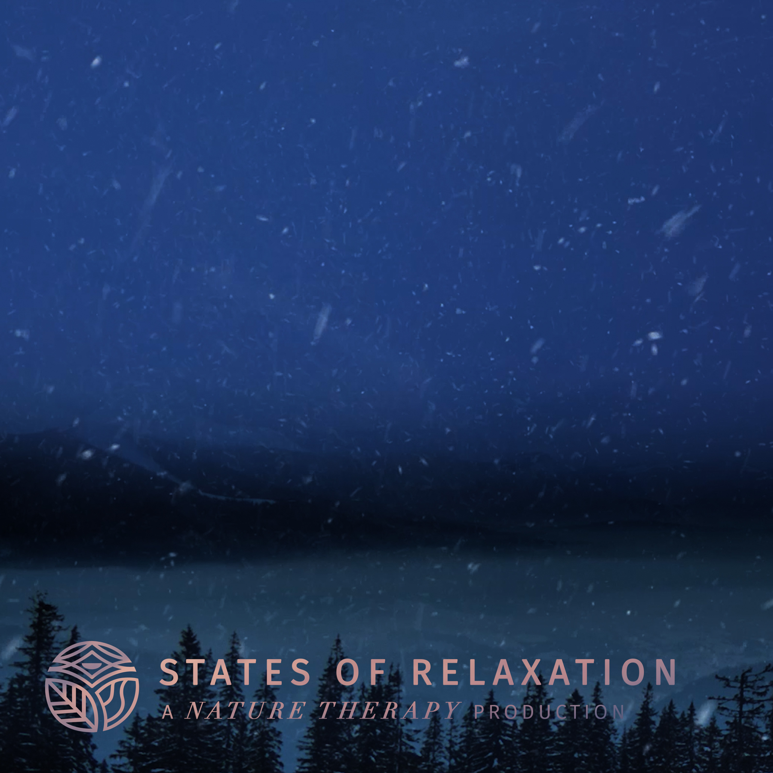 S3 E2: Blizzard Snowstorm Sounds for Relaxing & Sleeping | Strong Wind & Falling Snow Sounds (White Noise) episode artwork