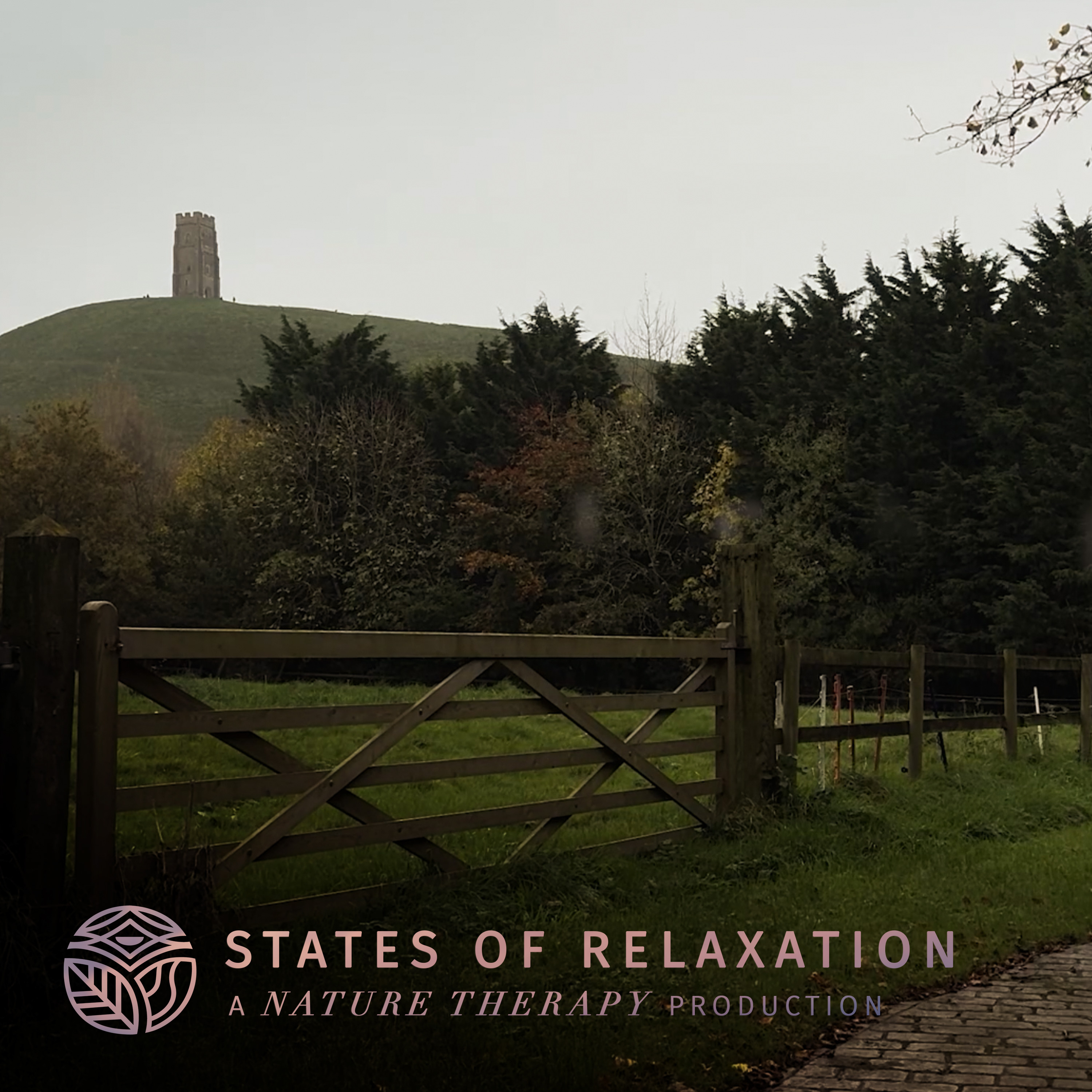 S3 E06: Relaxing Gentle Rain at Glastonbury Tor | Rain Sounds for Sleeping | Natural White Noise episode artwork