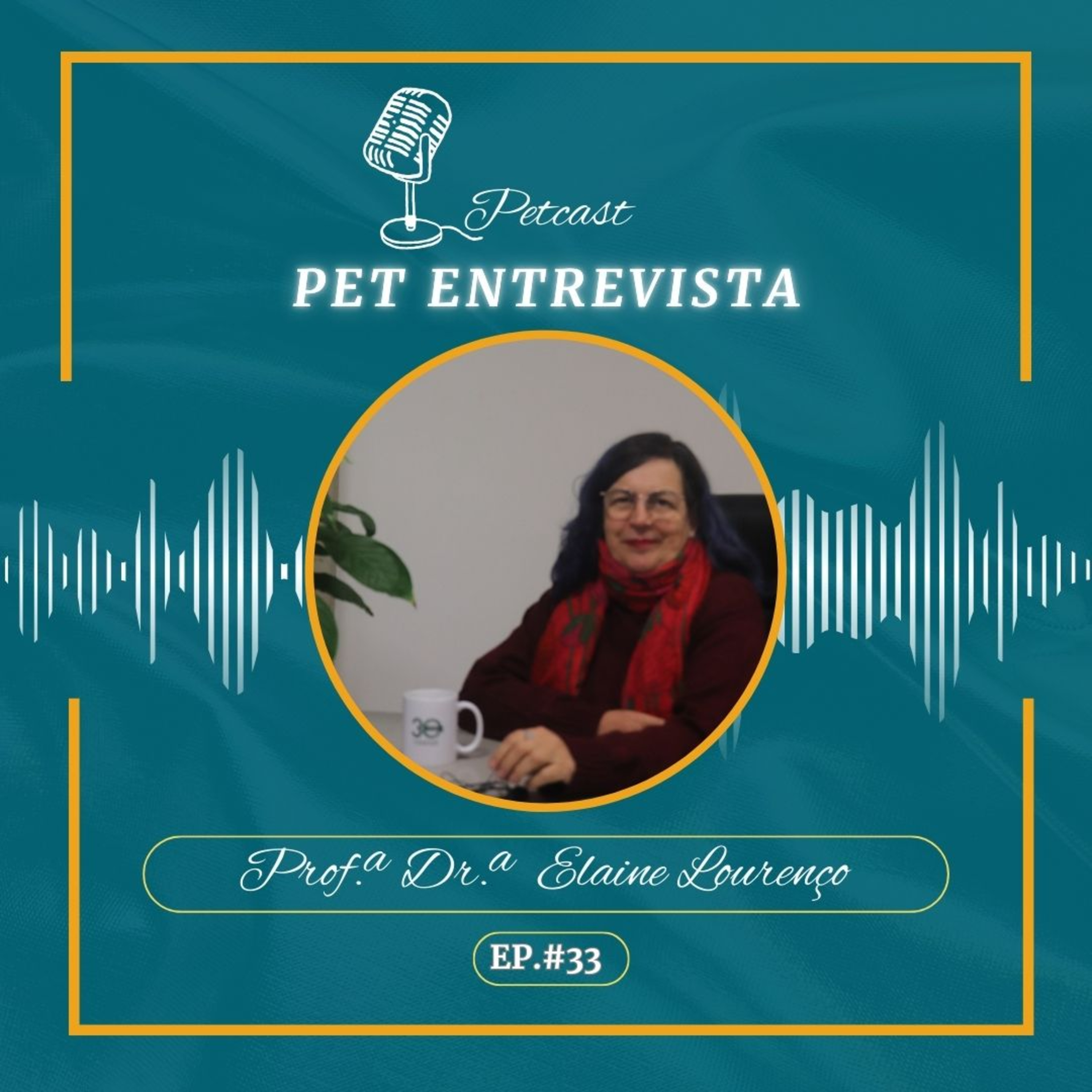 #33 PET ENTREVISTA - Profª. Drª. Elaine Lourenço episode artwork