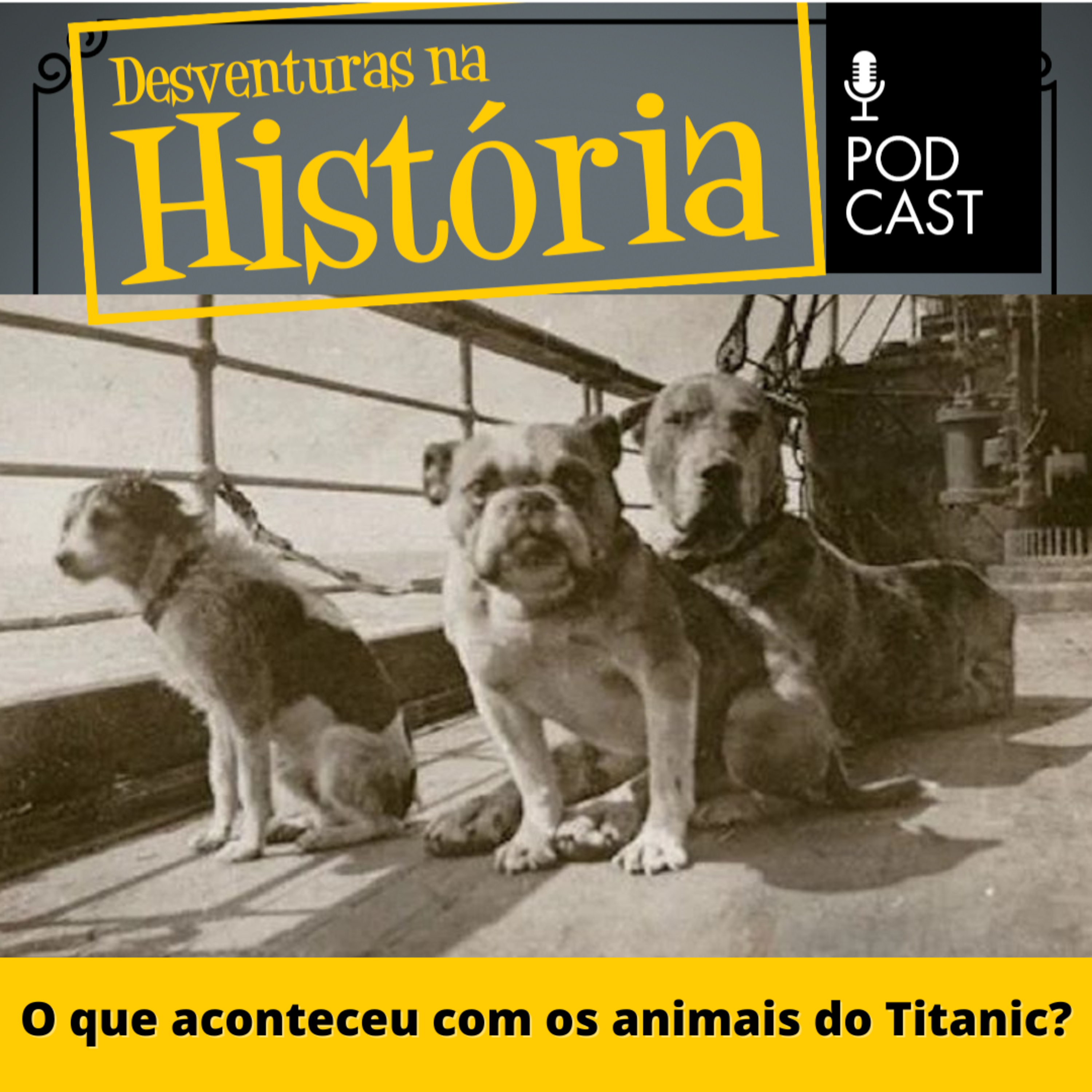 #72 Desventuras na História: O que aconteceu com os animais do Titanic?