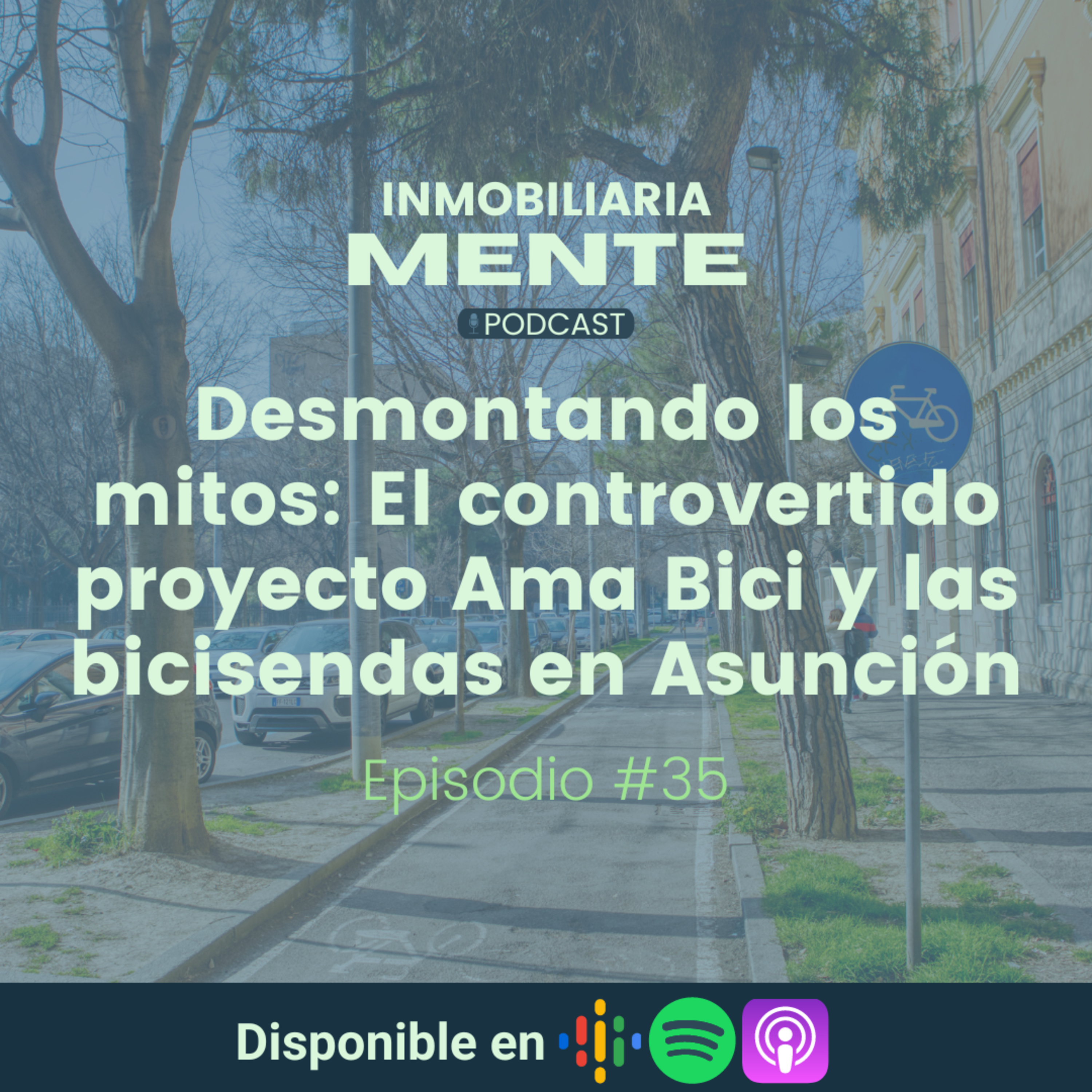 #35 Desmontando los mitos: El controvertido proyecto Ama Bici y las bicisendas en Asunción episode artwork