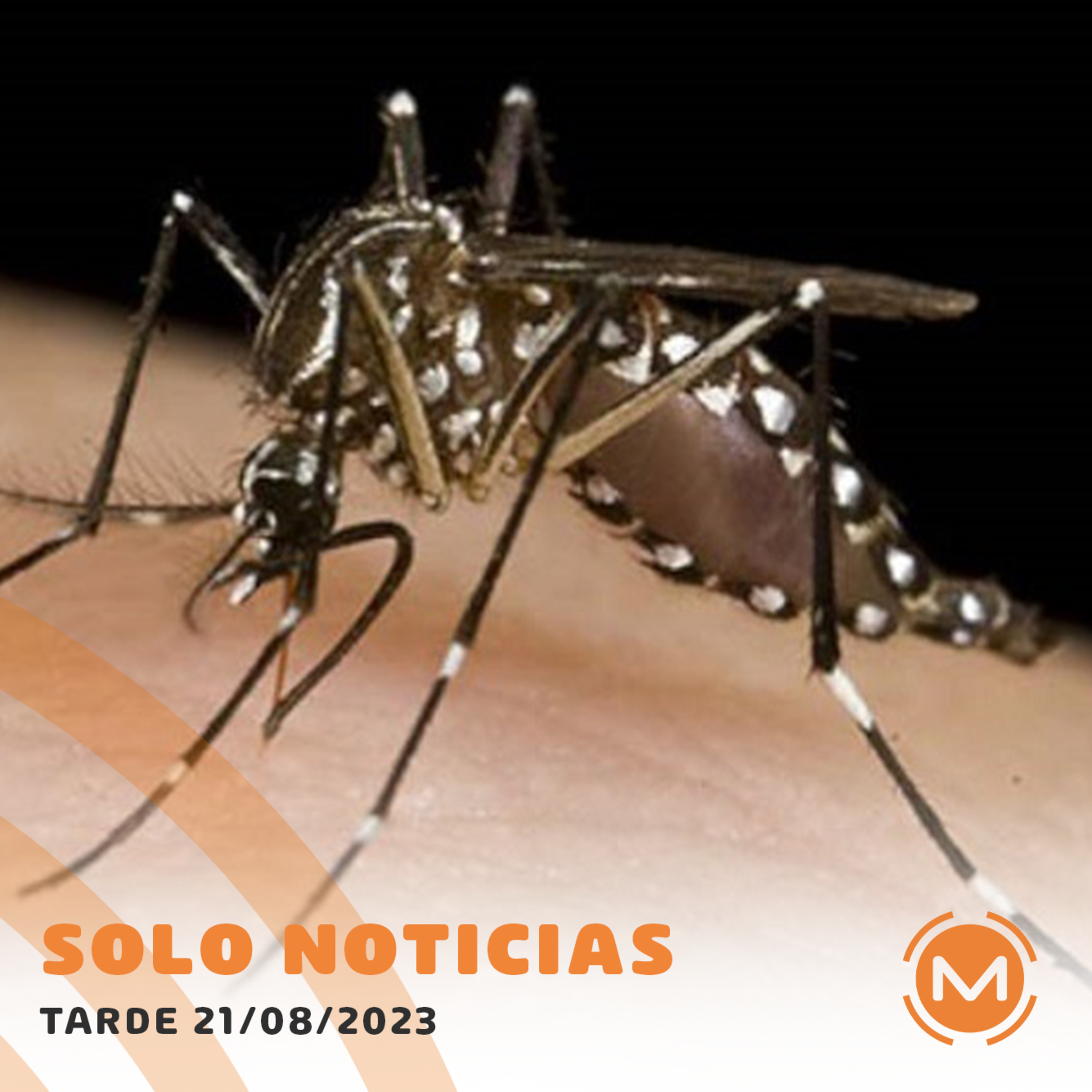 Portada de Monumental AM 1080