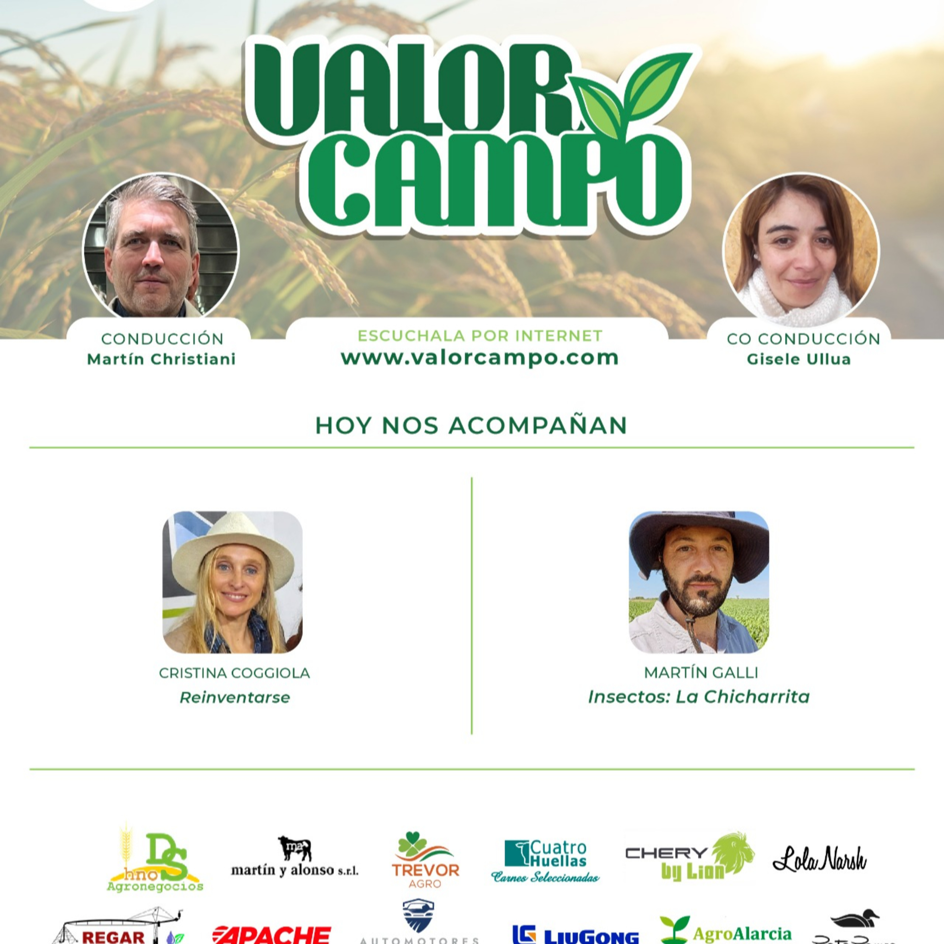 Programa Completo Valor Campo 31-07-2024 episode artwork