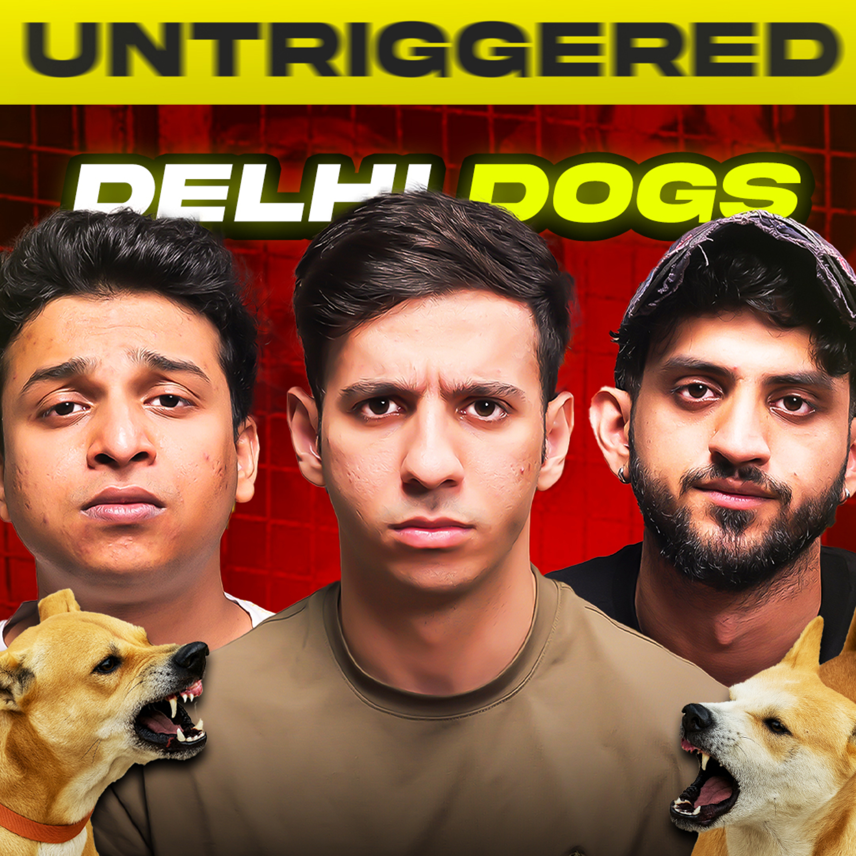 #195: The Stray Dog DEBATE, Creepy Pedro Pascal, Talking To Girls & more... episode artwork