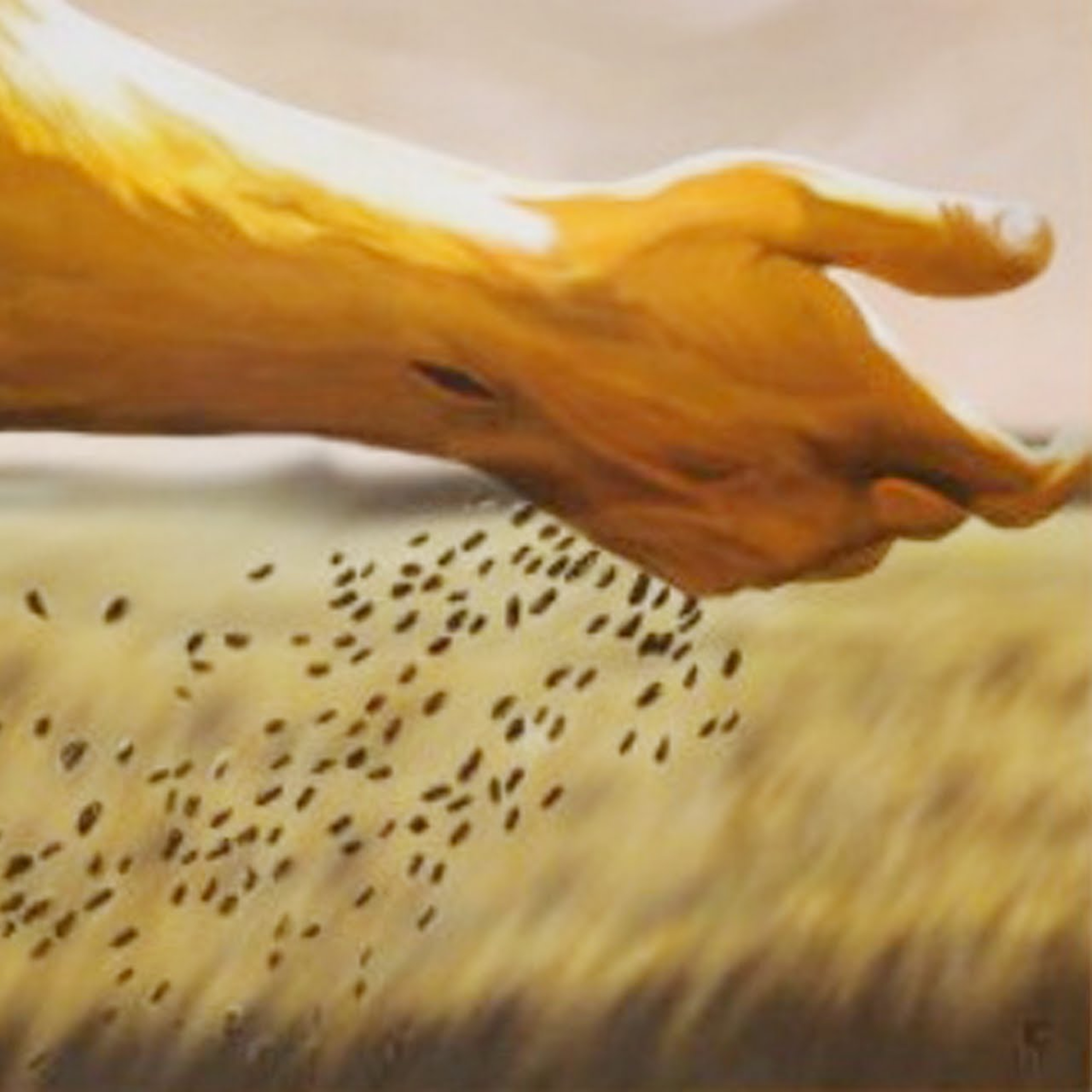 Para rezar o Evangelho do 16º Domingo do Tempo Comum episode artwork