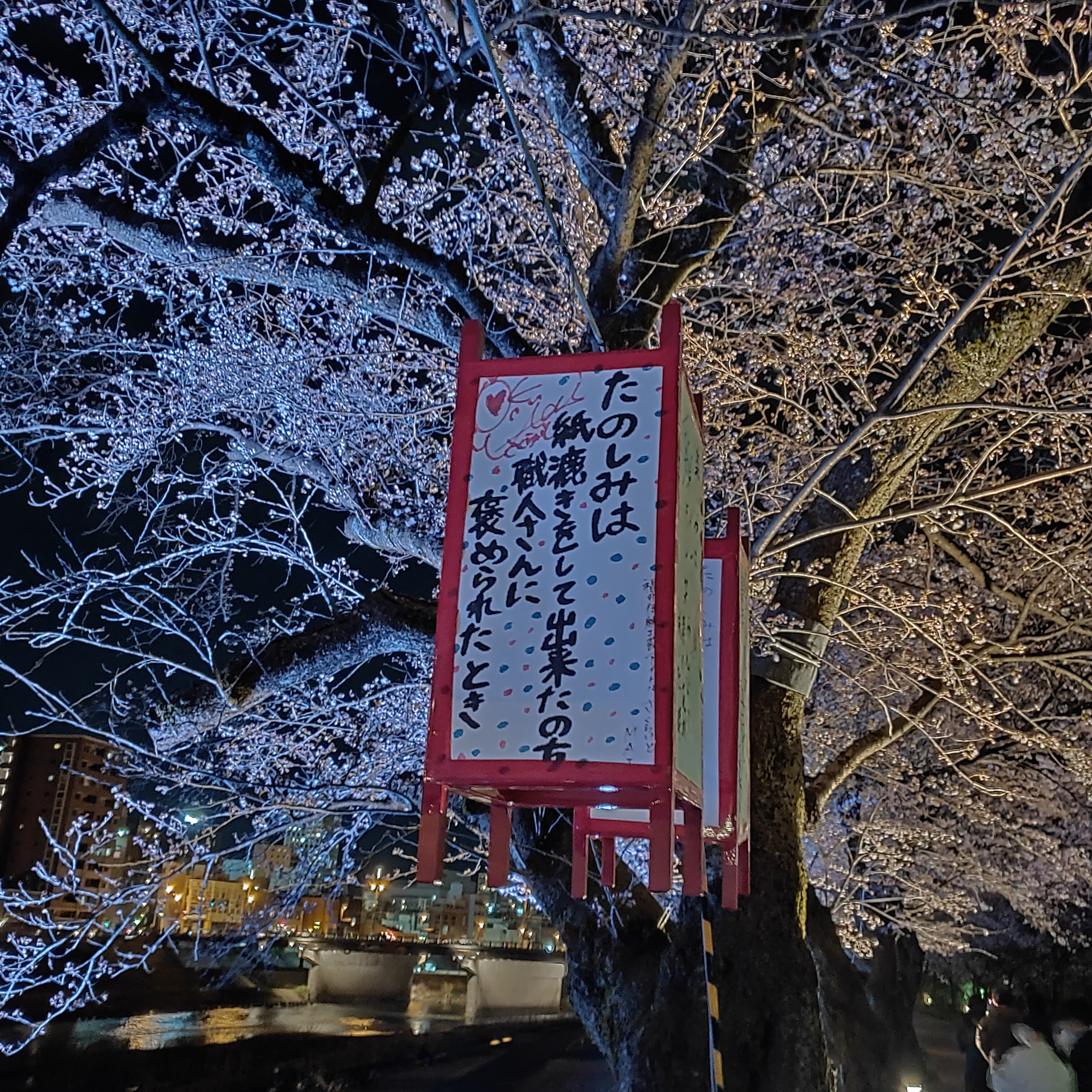 耳で楽しむ鉄道旅　北陸本線普通　南条→福井 episode artwork