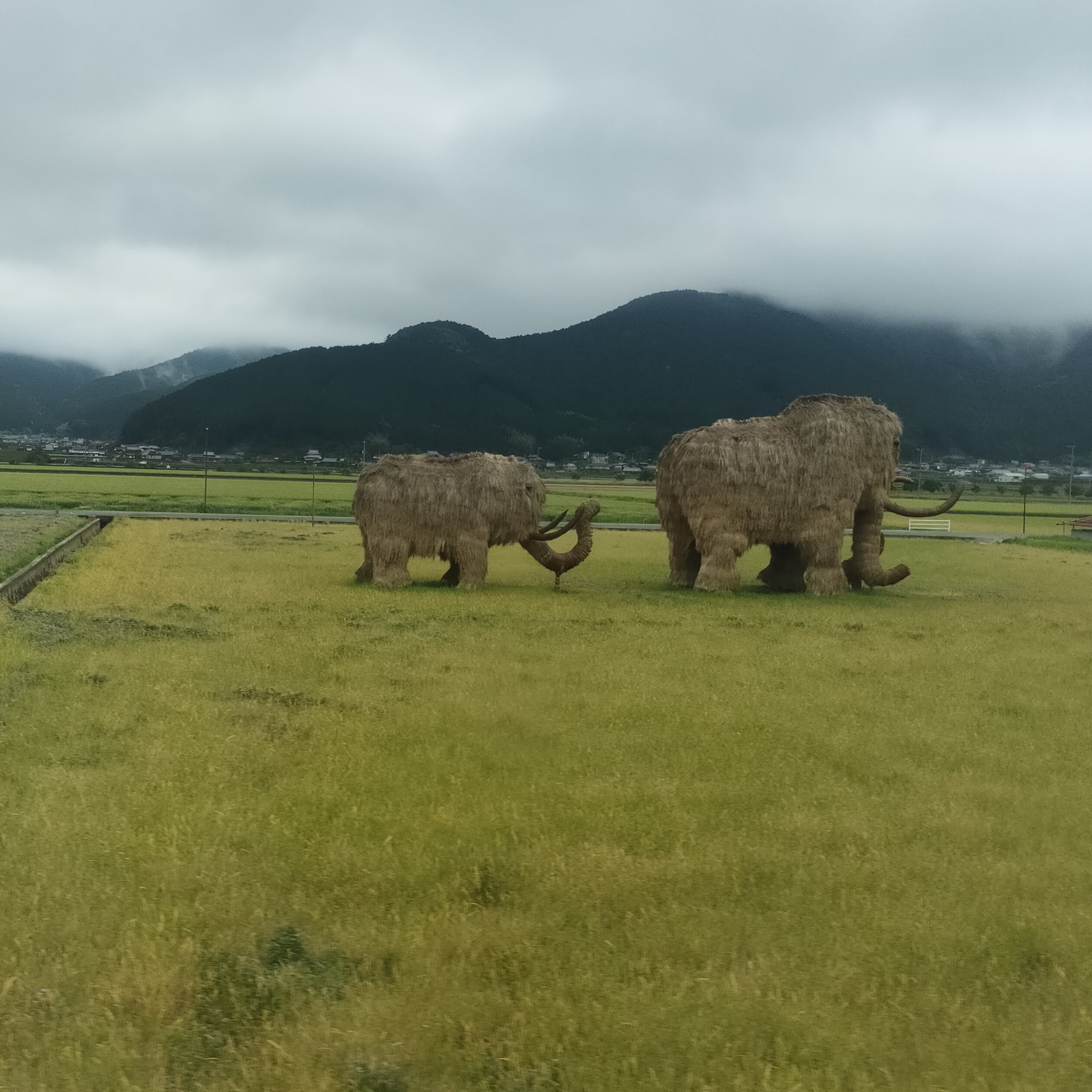 耳で楽しむ鉄道旅　予讃線特急宇和海5号　伊予大洲→宇和島 episode artwork