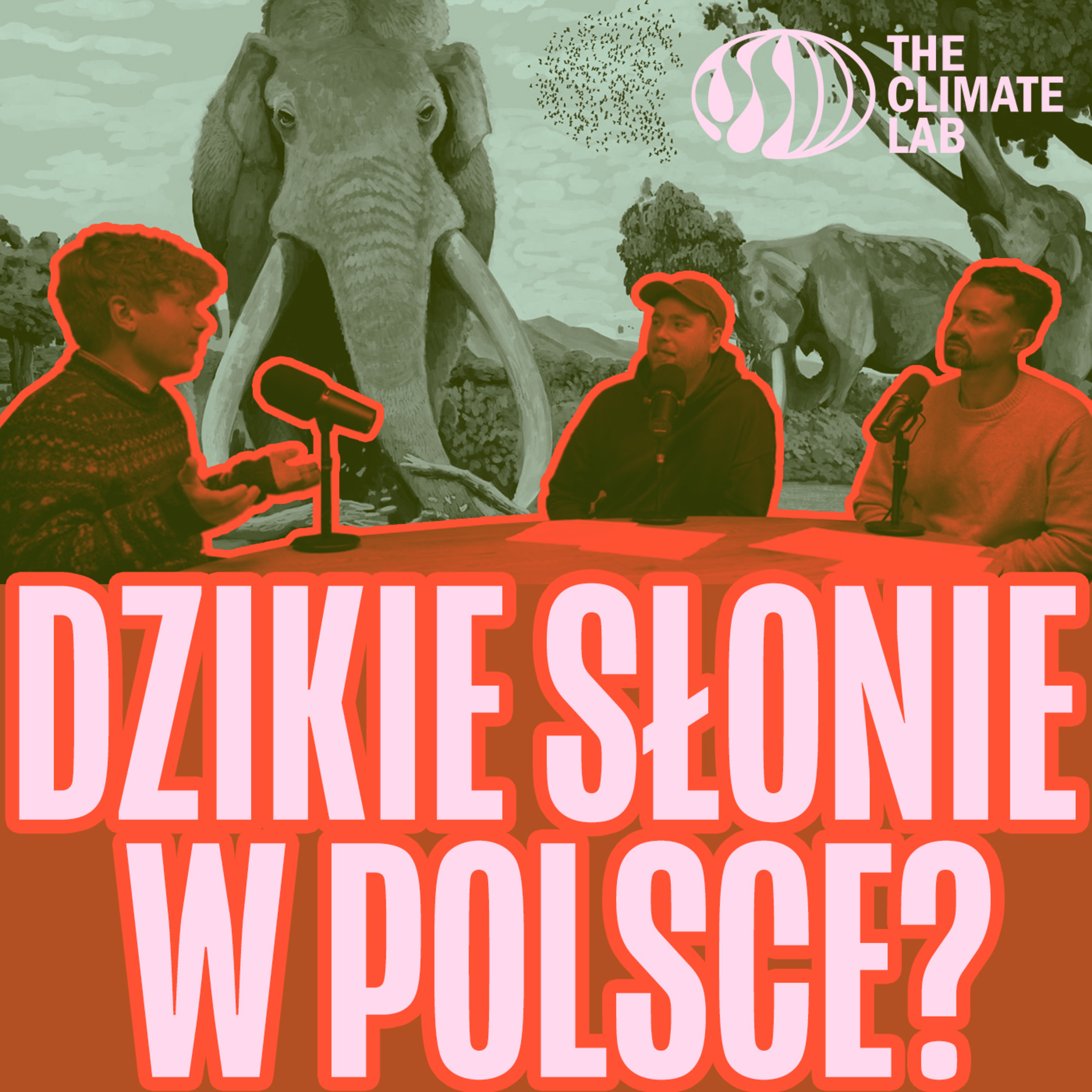 Dzikie słonie w Polsce? Rewilding, Lasopastwiska i Bioróżnorodność [Trzeci Sezon Zrównoważonych] episode artwork