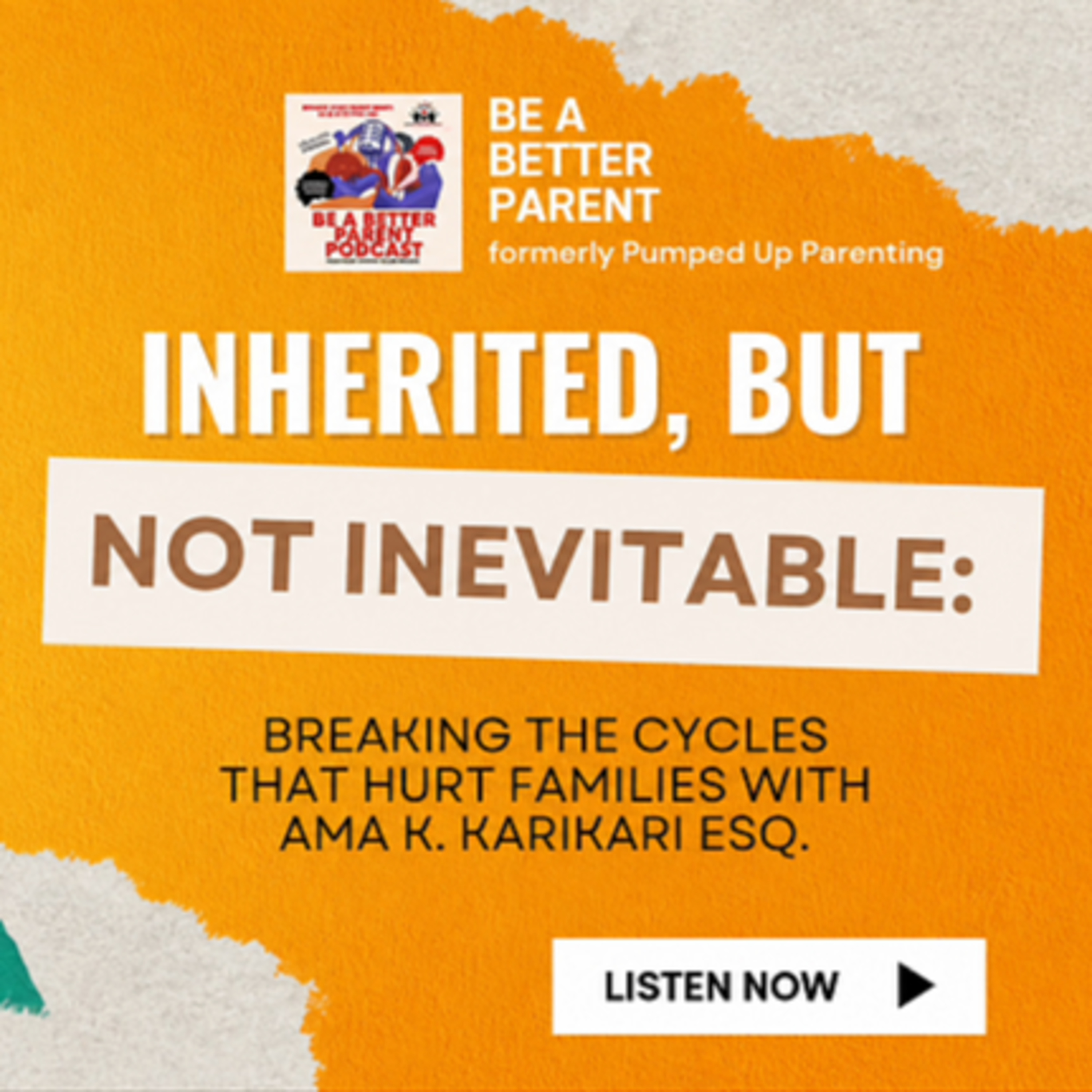 S9E27 (EP 205): Inherited, But Not Inevitable: Breaking the Cycles That Hurt Families With Ama K. KariKari Esq.