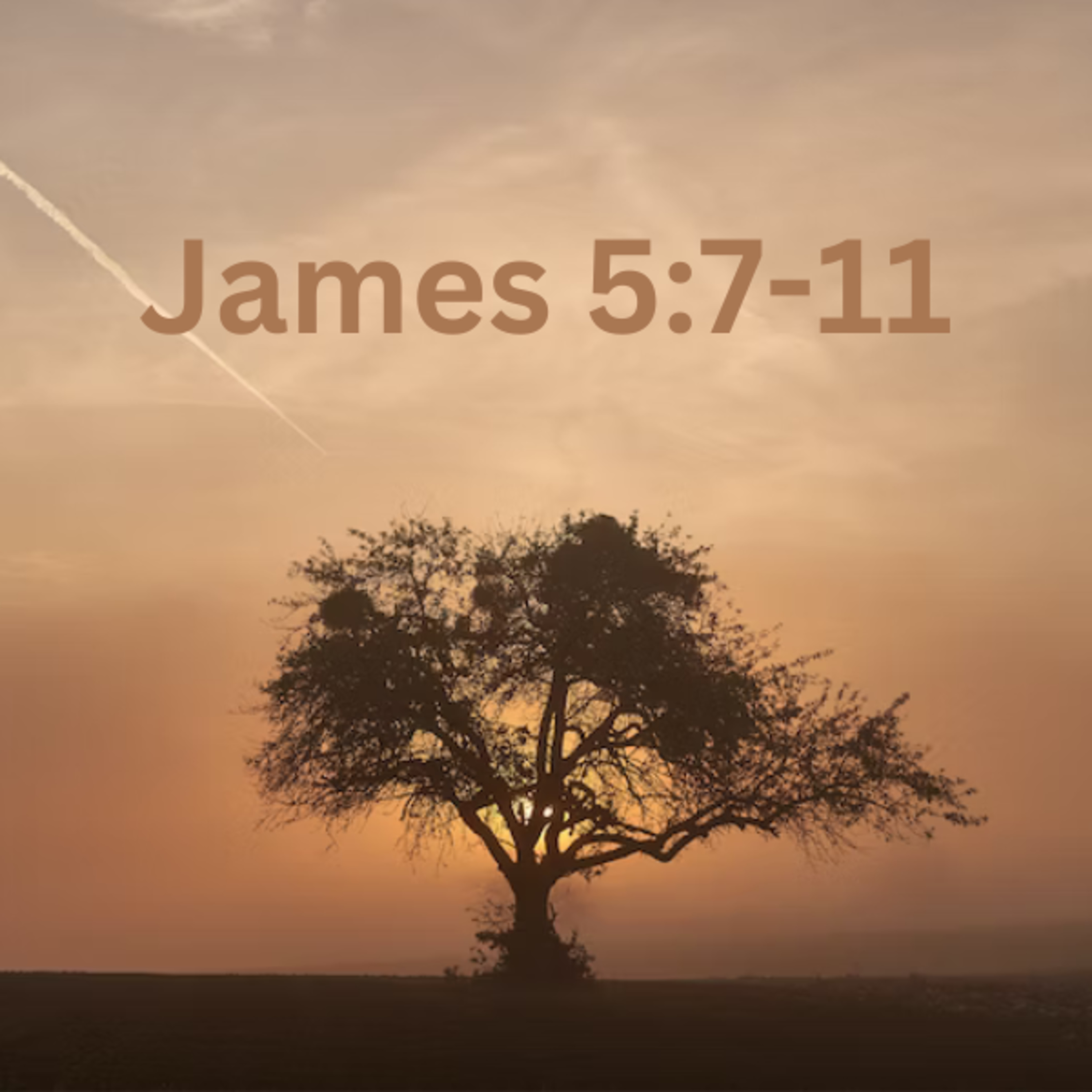 James 5:7-11 // Dustin Harrison episode artwork