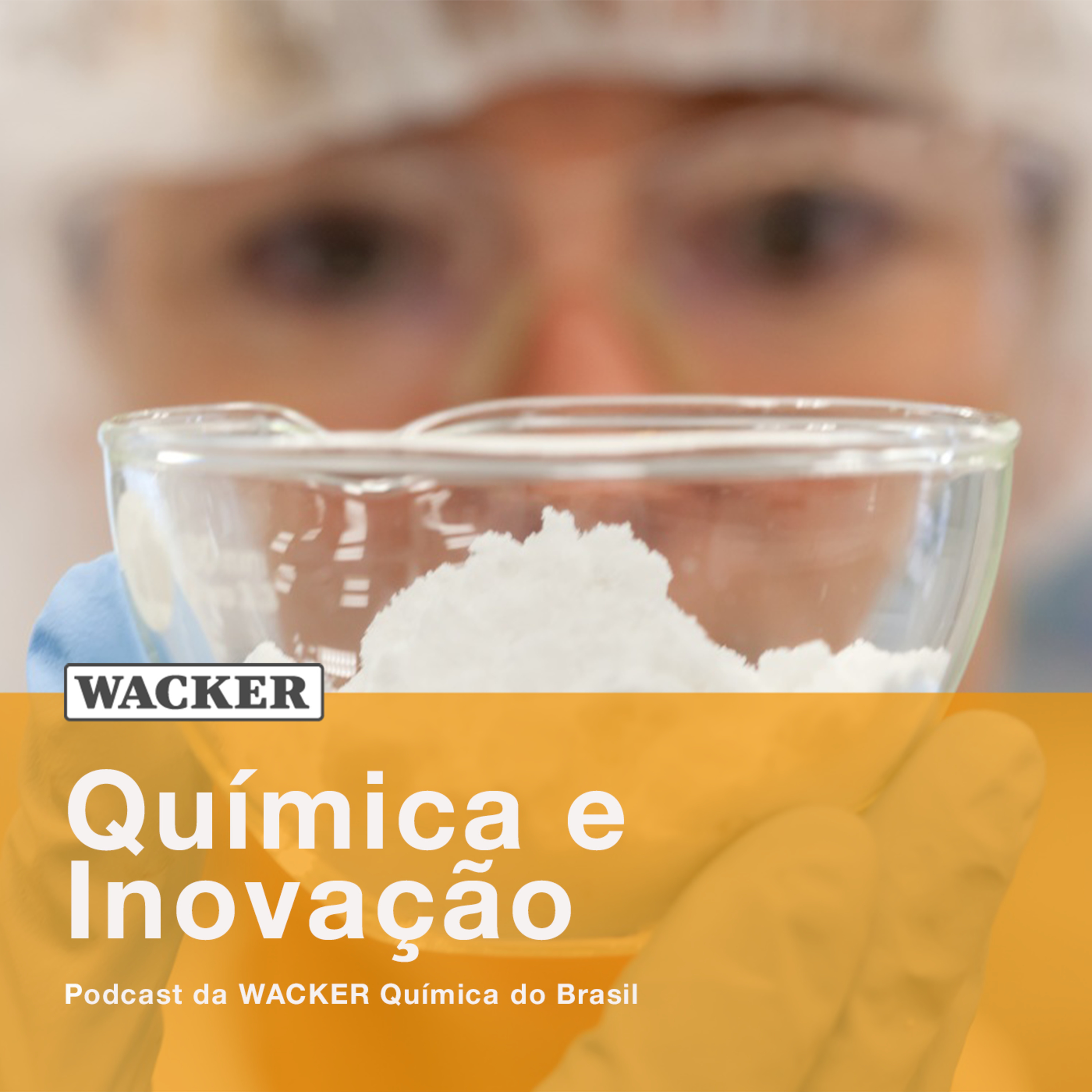 WACKER Brasil - Química e Inovação