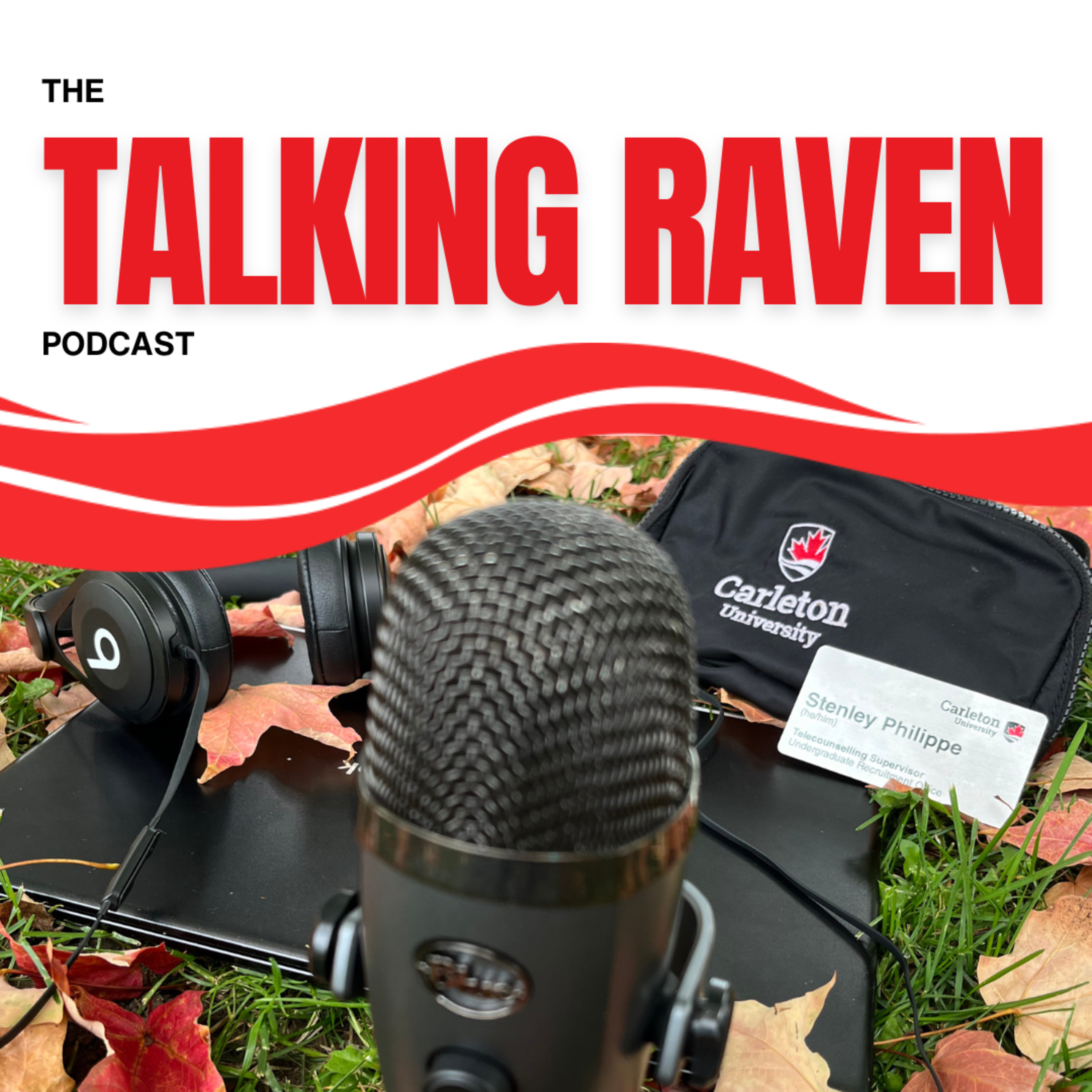 The Talking Raven