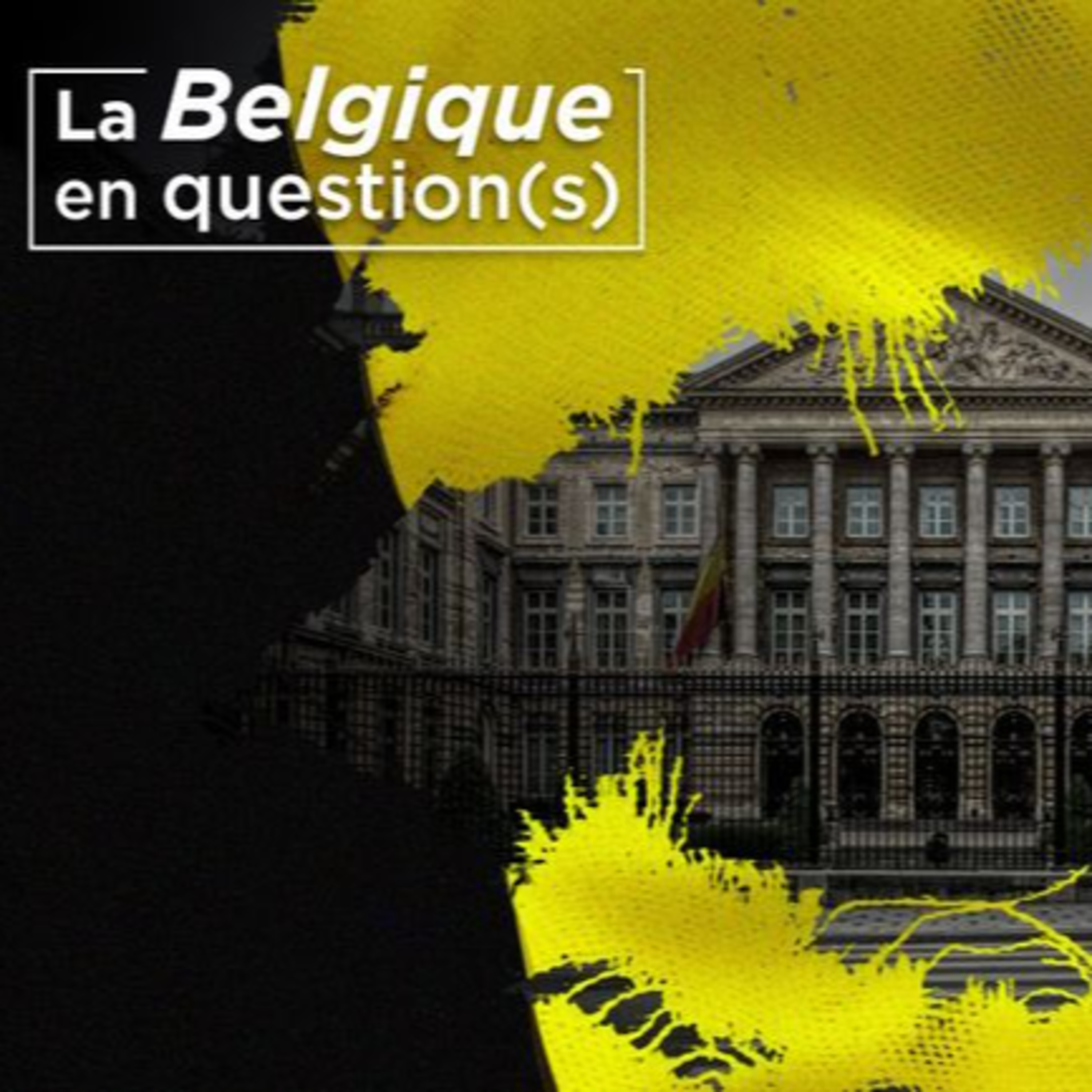 Et maintenant, on fait quoi ? [La Belgique en question(S)]