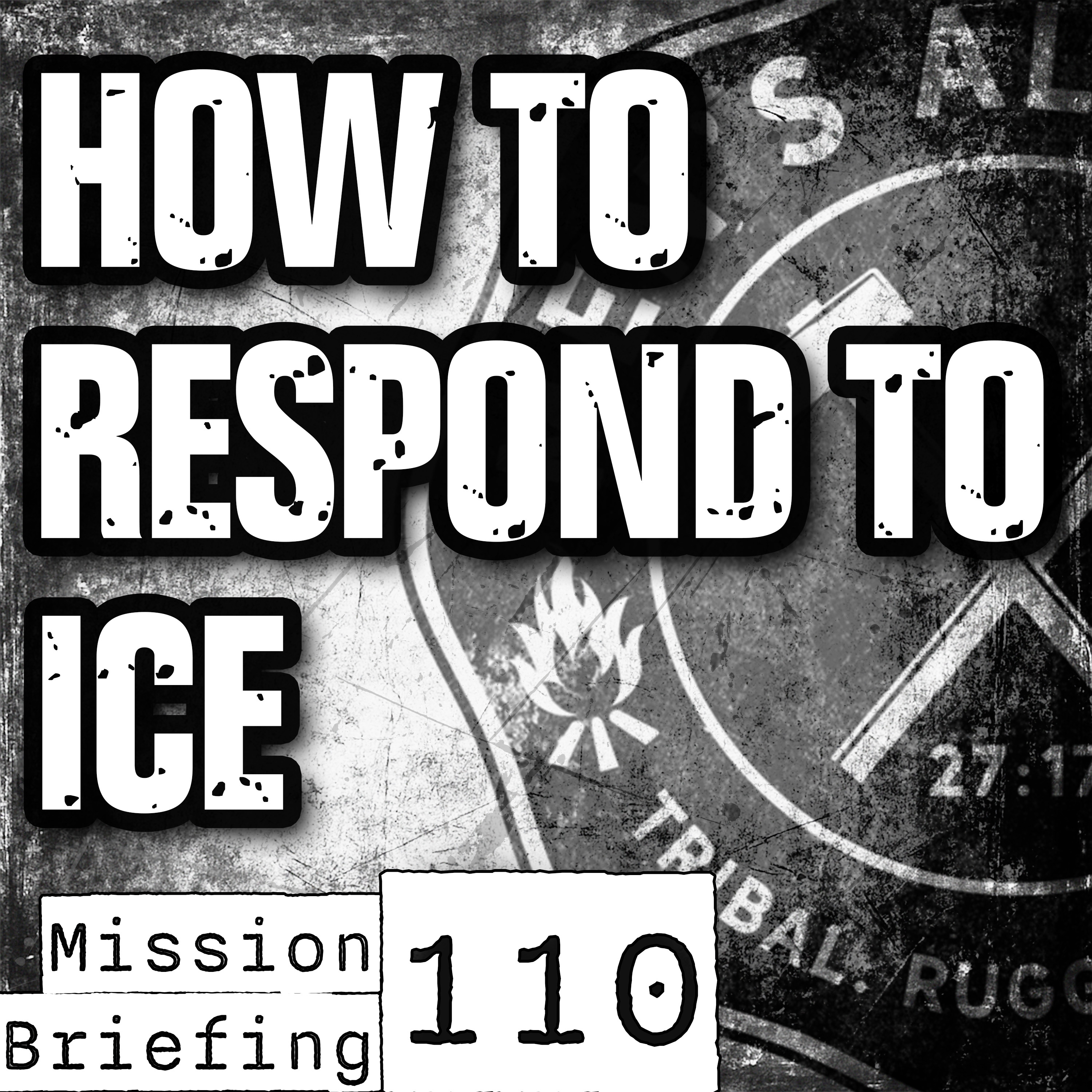 How to Respond to ICE episode artwork