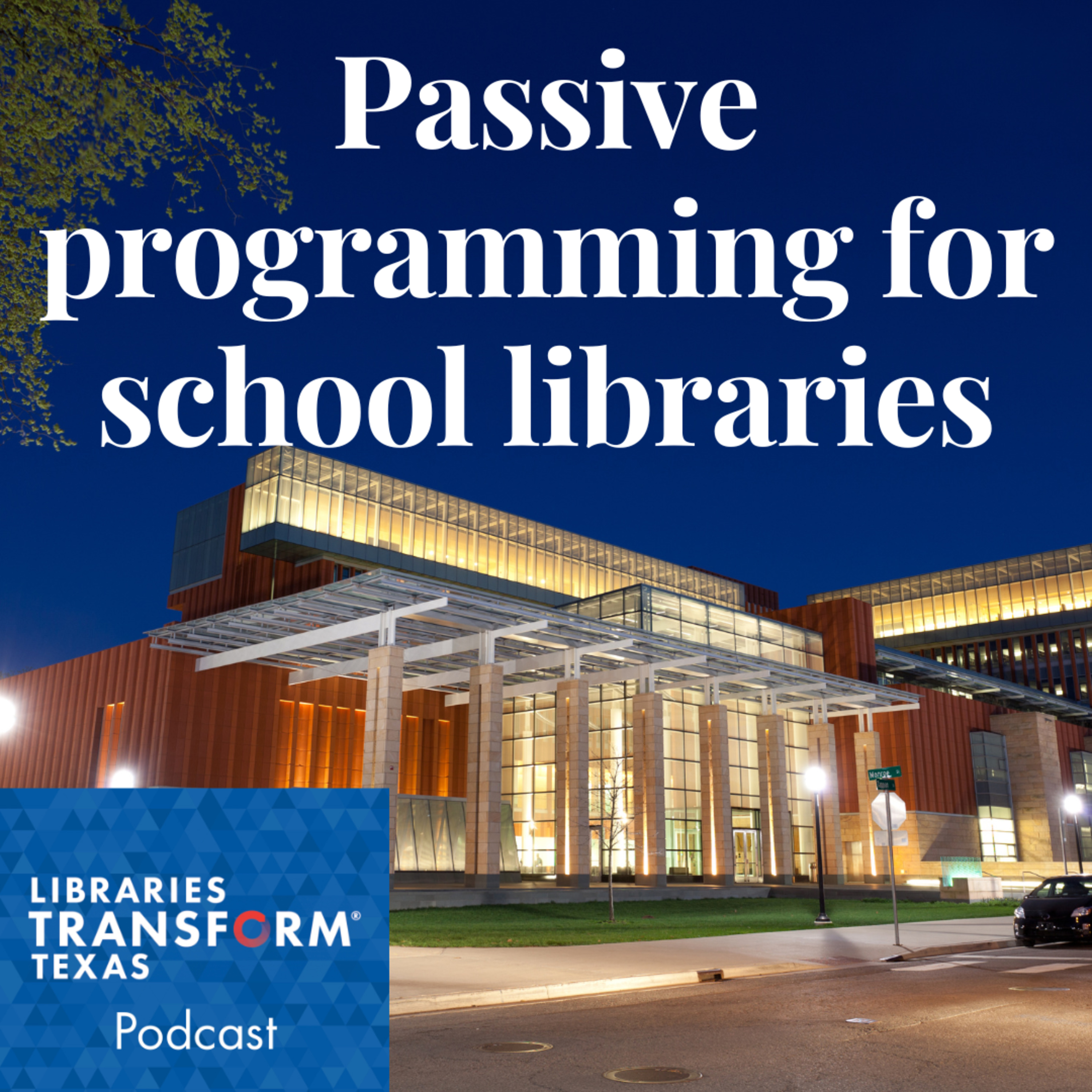 Passive Programming Ideas for School Libraries episode artwork