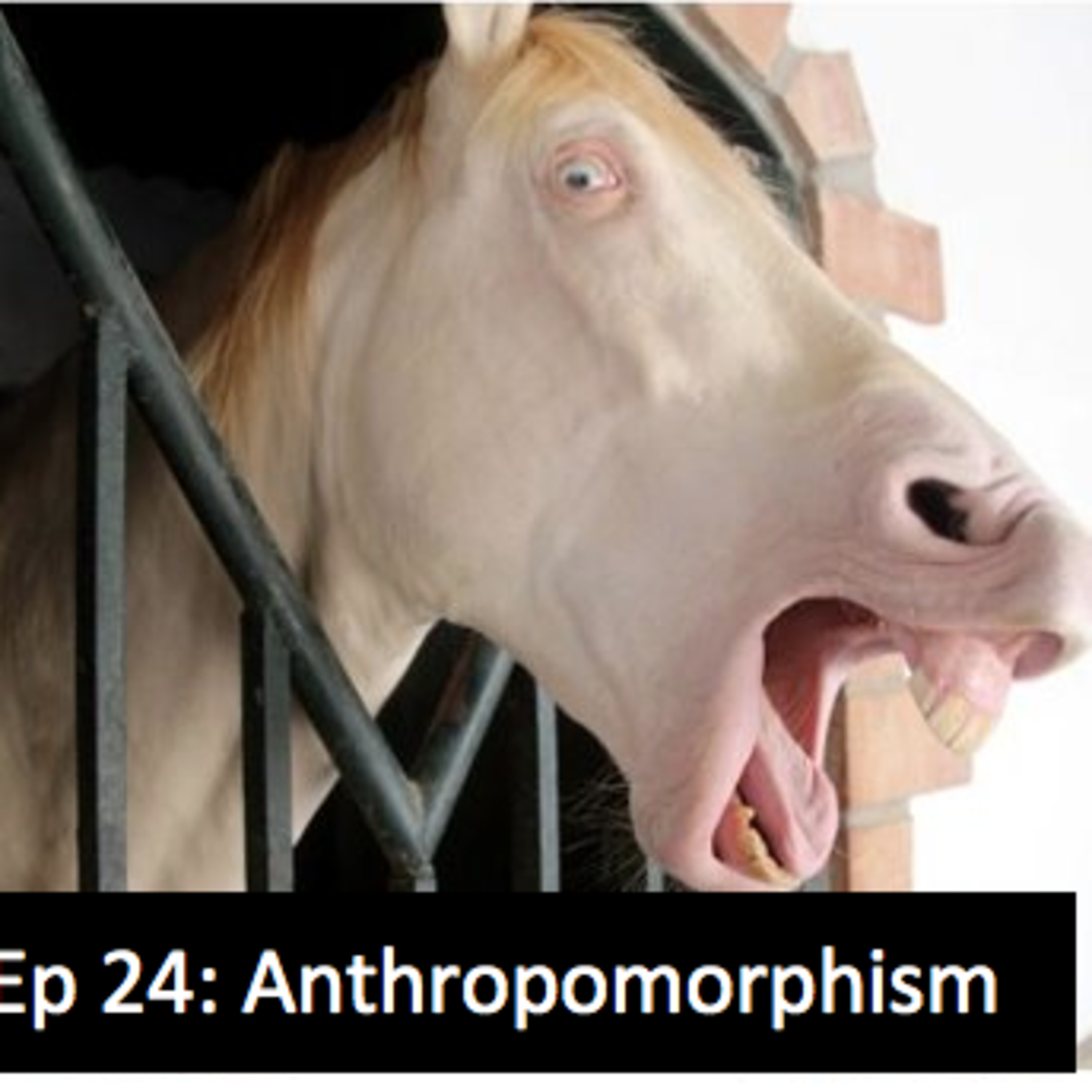 The Anthrozoology Podcast