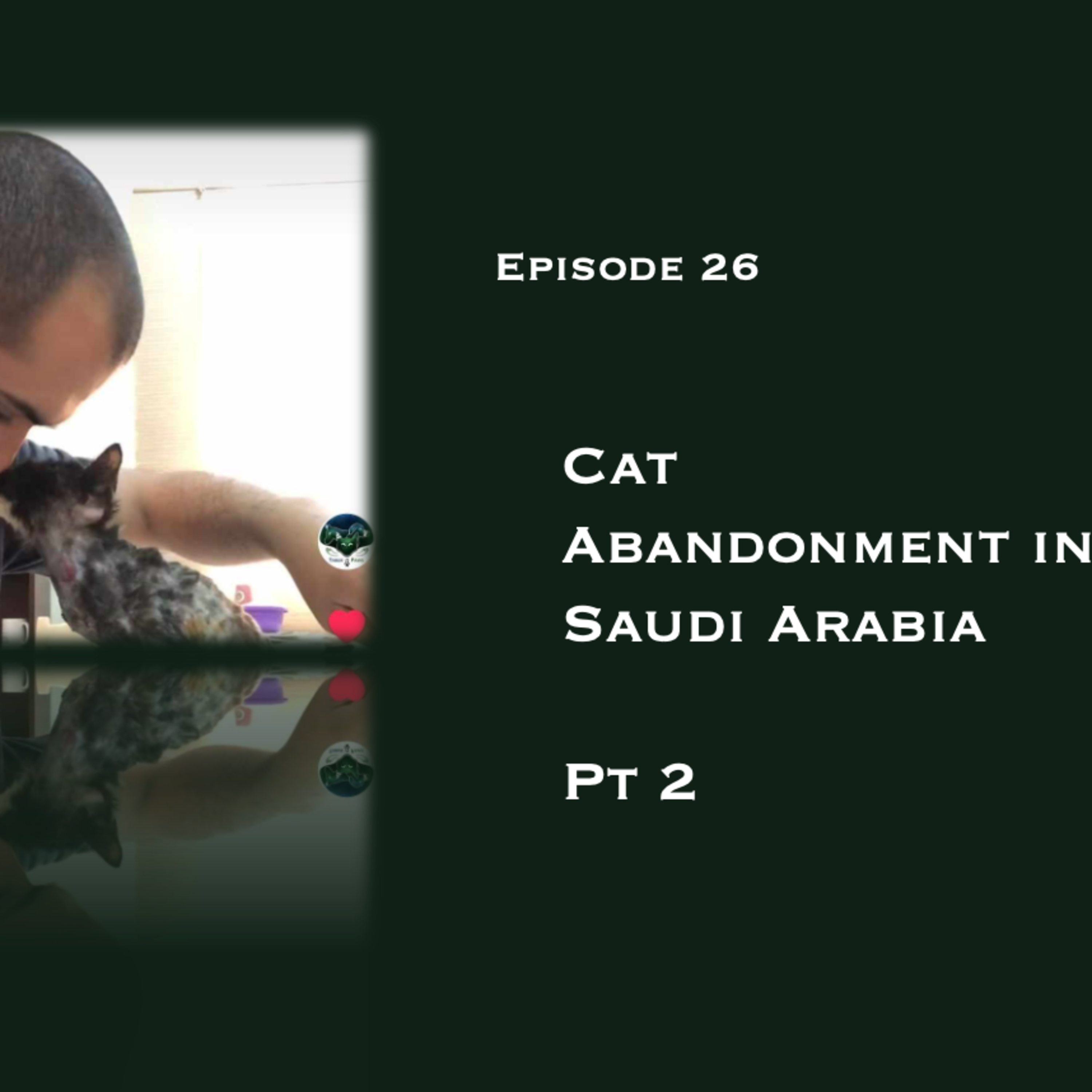 The Anthrozoology Podcast