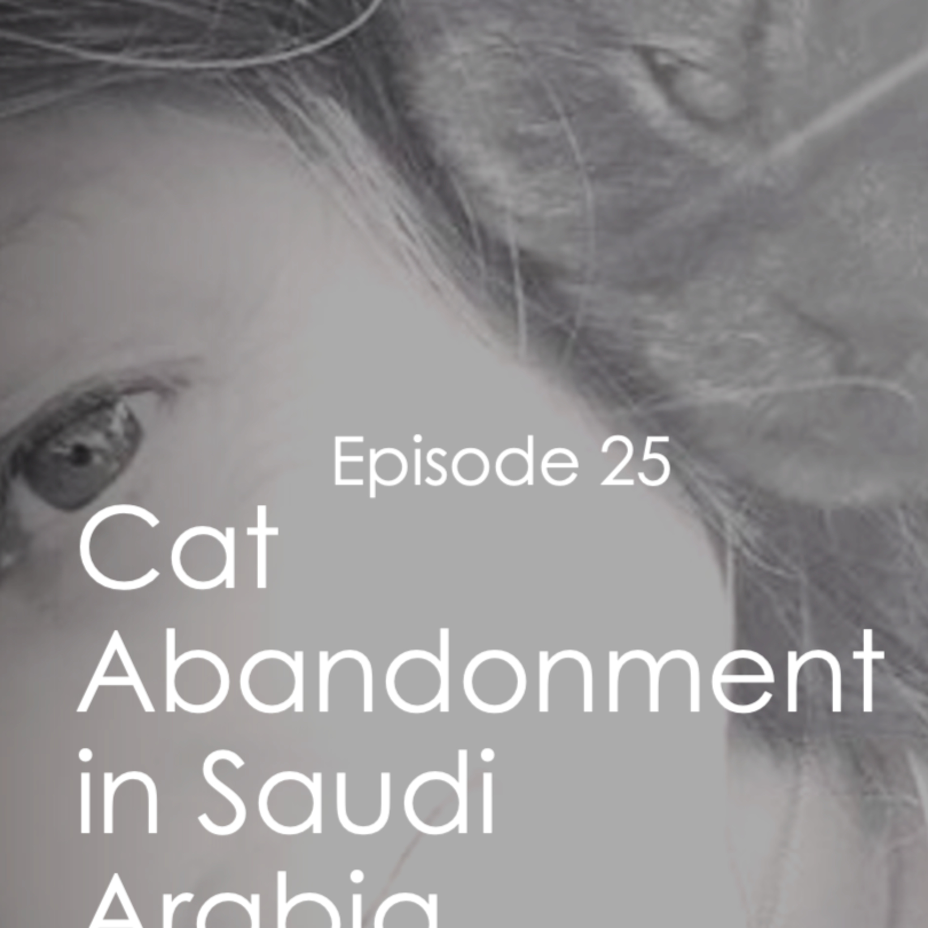 The Anthrozoology Podcast