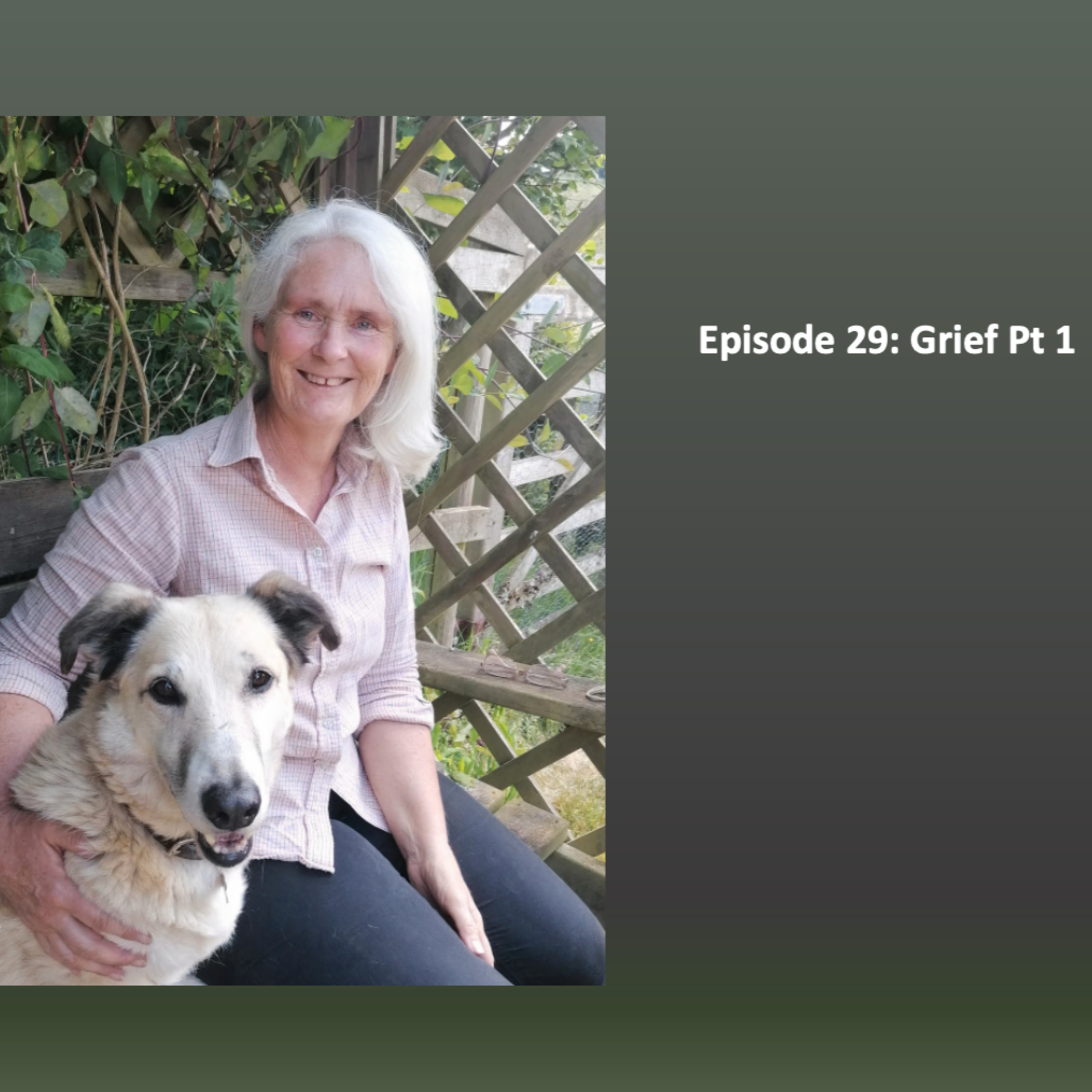 The Anthrozoology Podcast