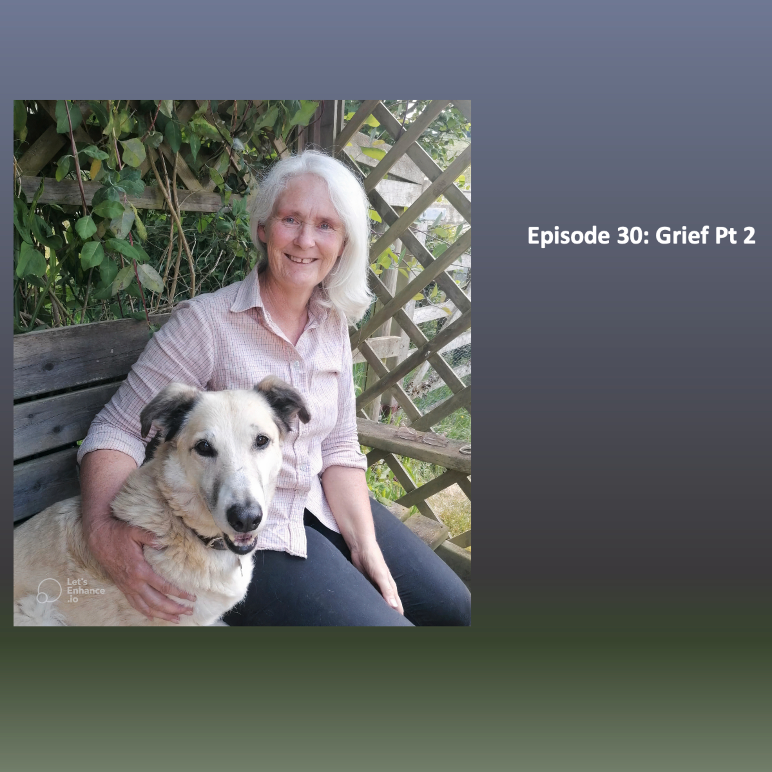 The Anthrozoology Podcast