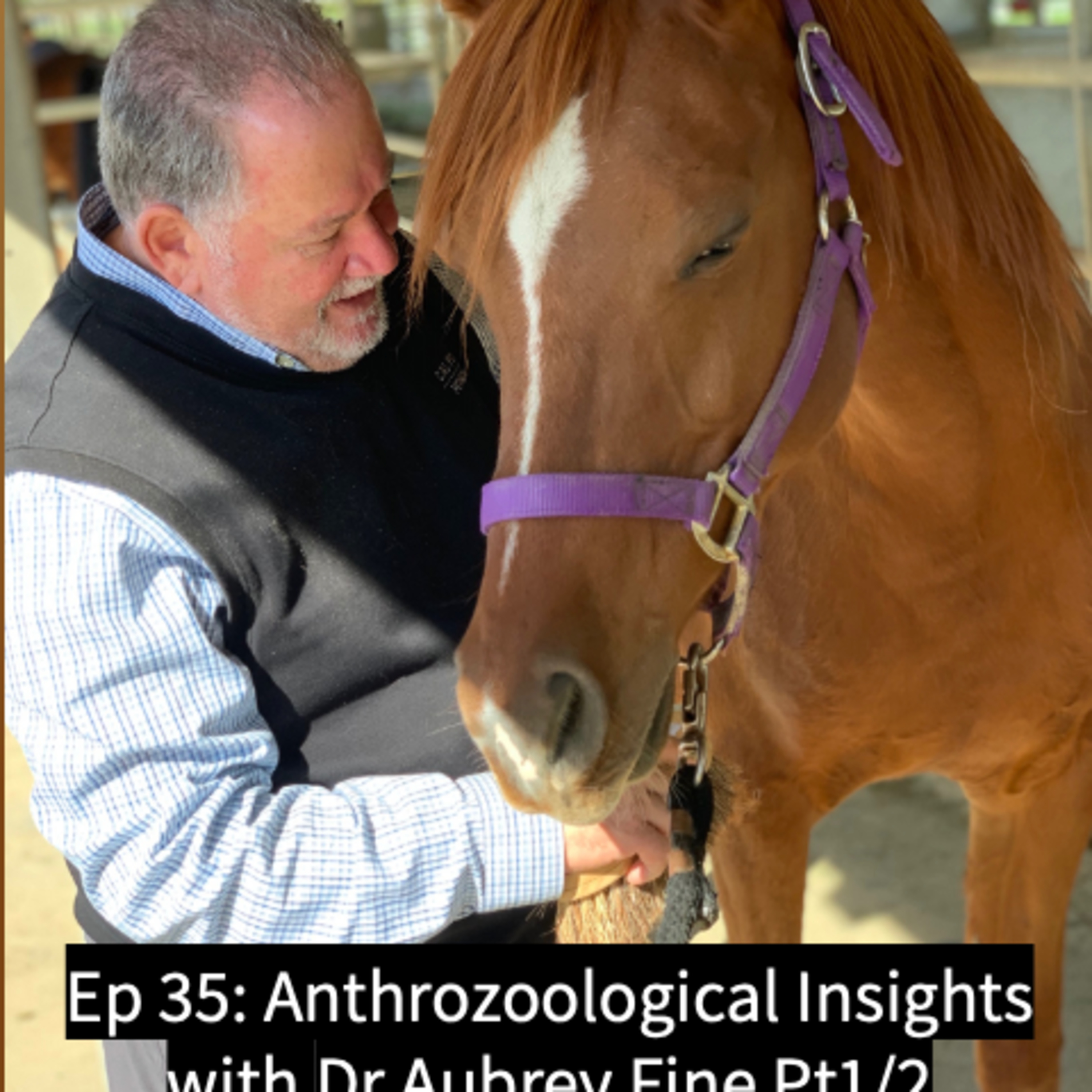 The Anthrozoology Podcast