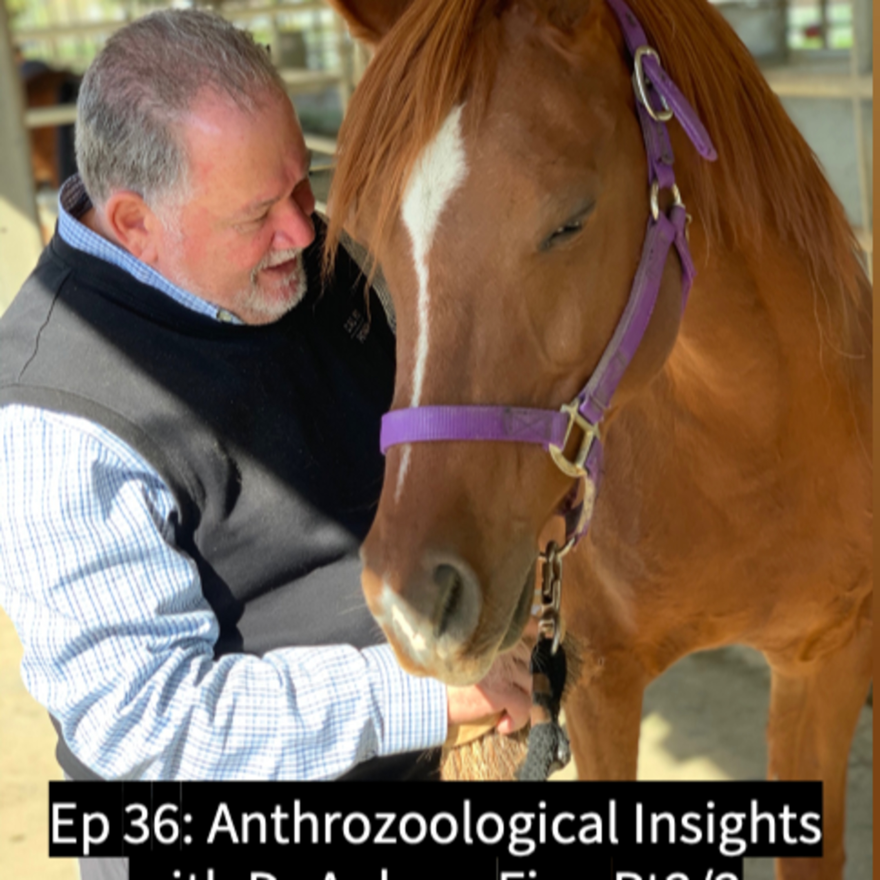 The Anthrozoology Podcast