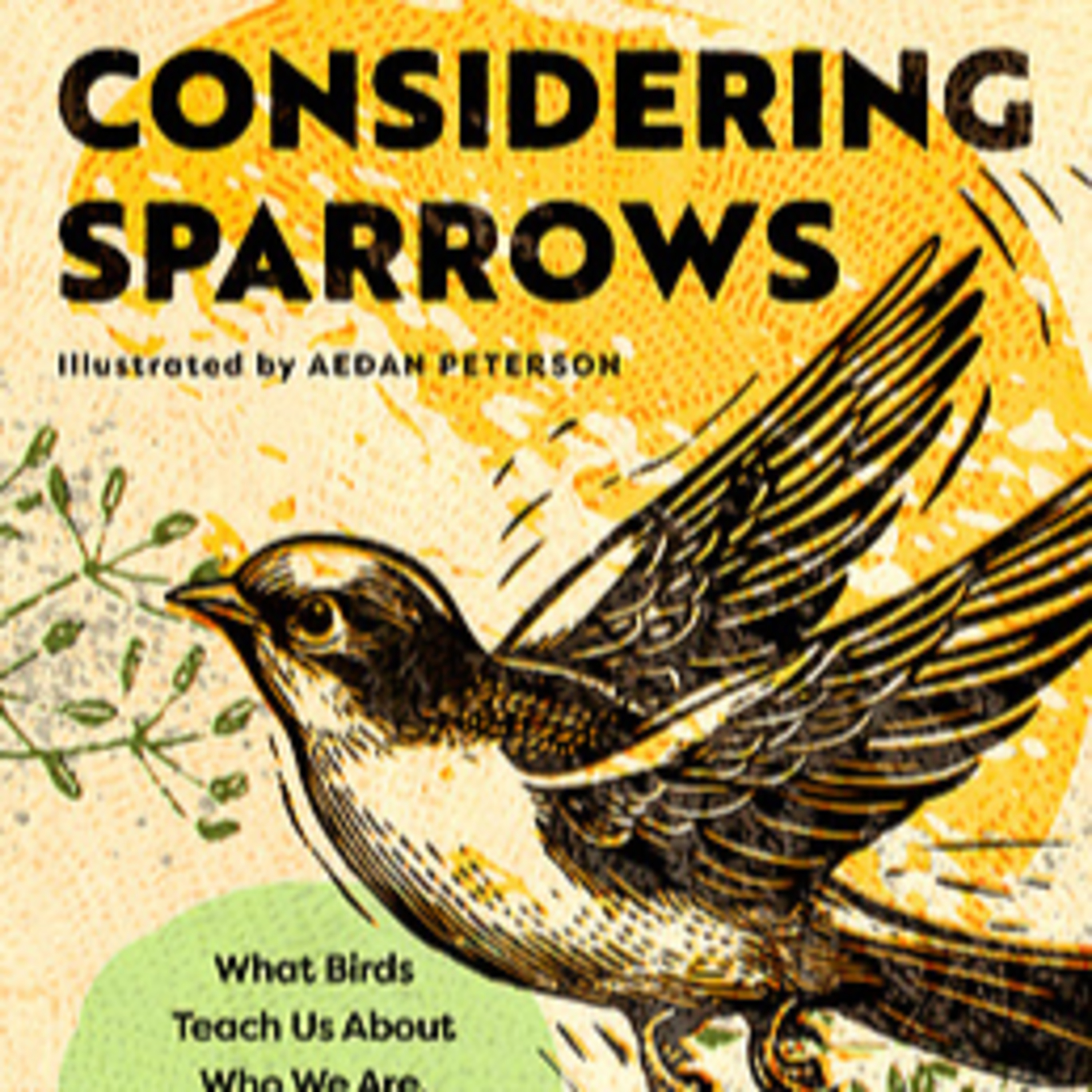 266 His Eye is on the Sparrow episode artwork