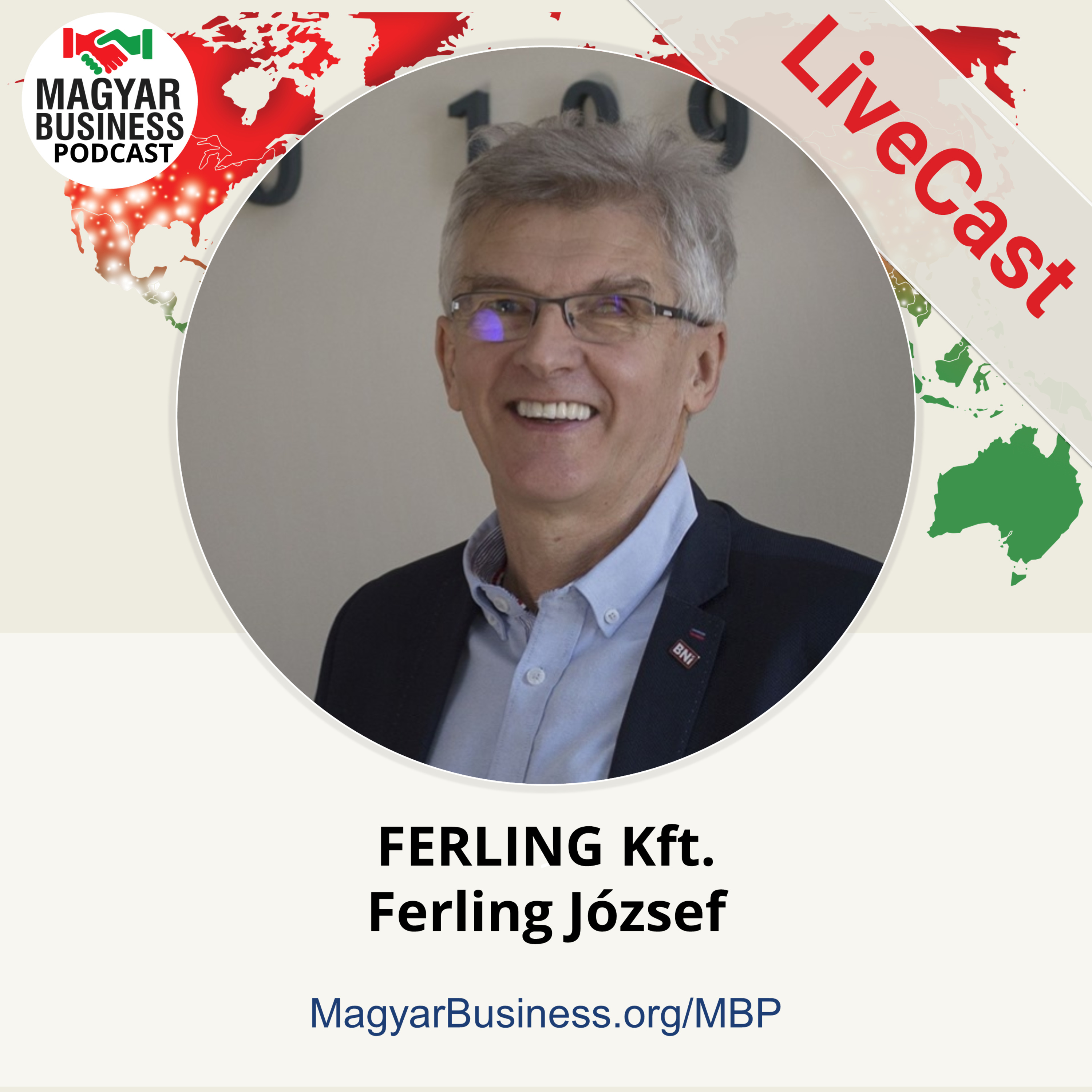 #133 - Ferling Kft. / Ferling József