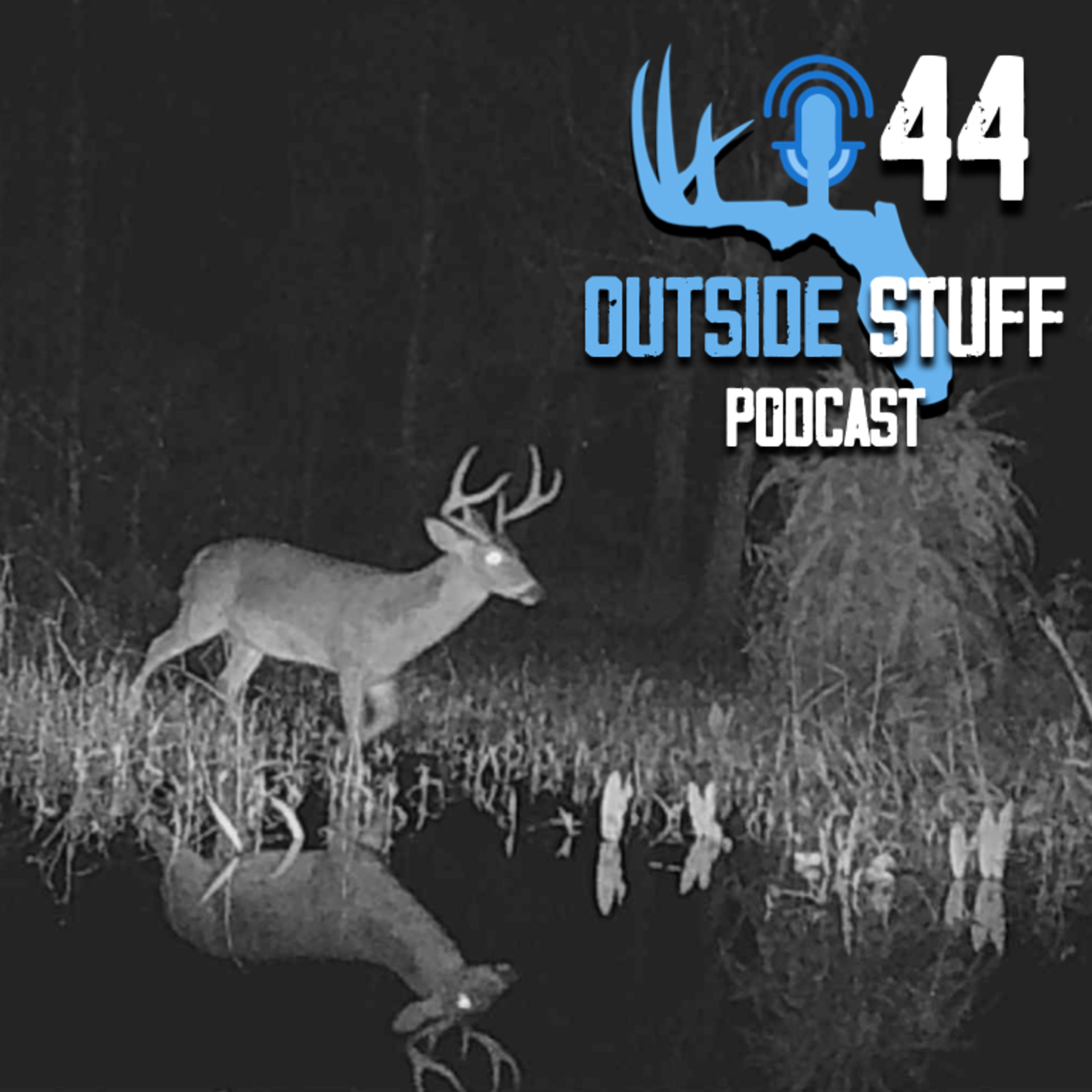 44. Deer Season Review