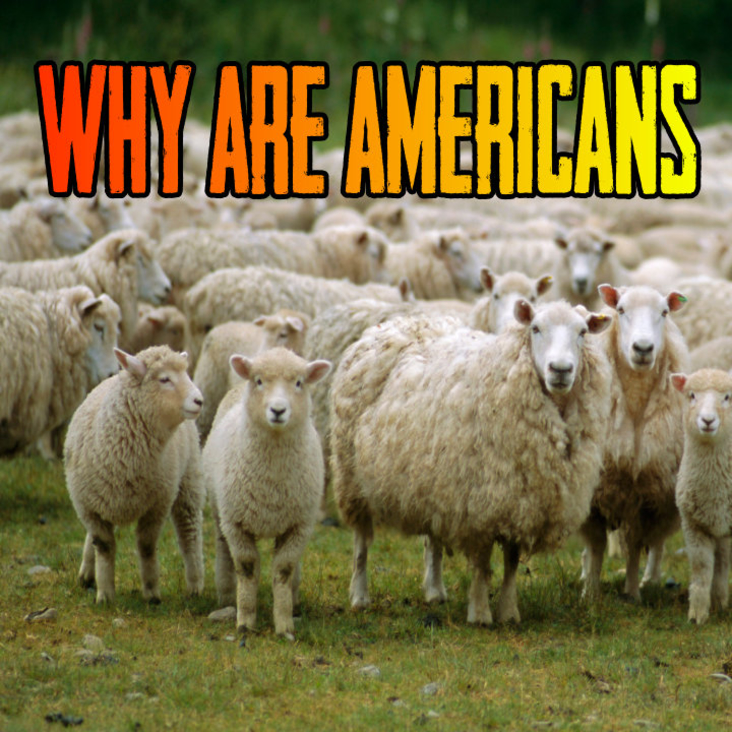 Why Are Americans The LAST To Understand? episode artwork
