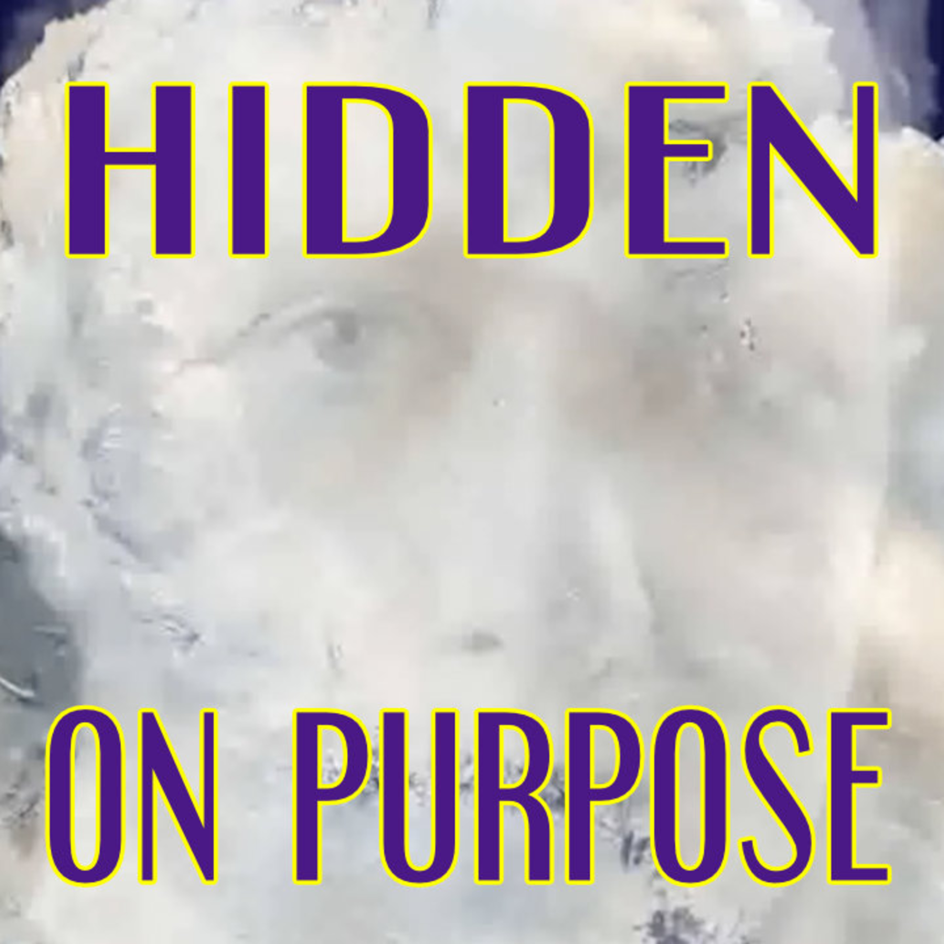 Hidden ON Purpose episode artwork