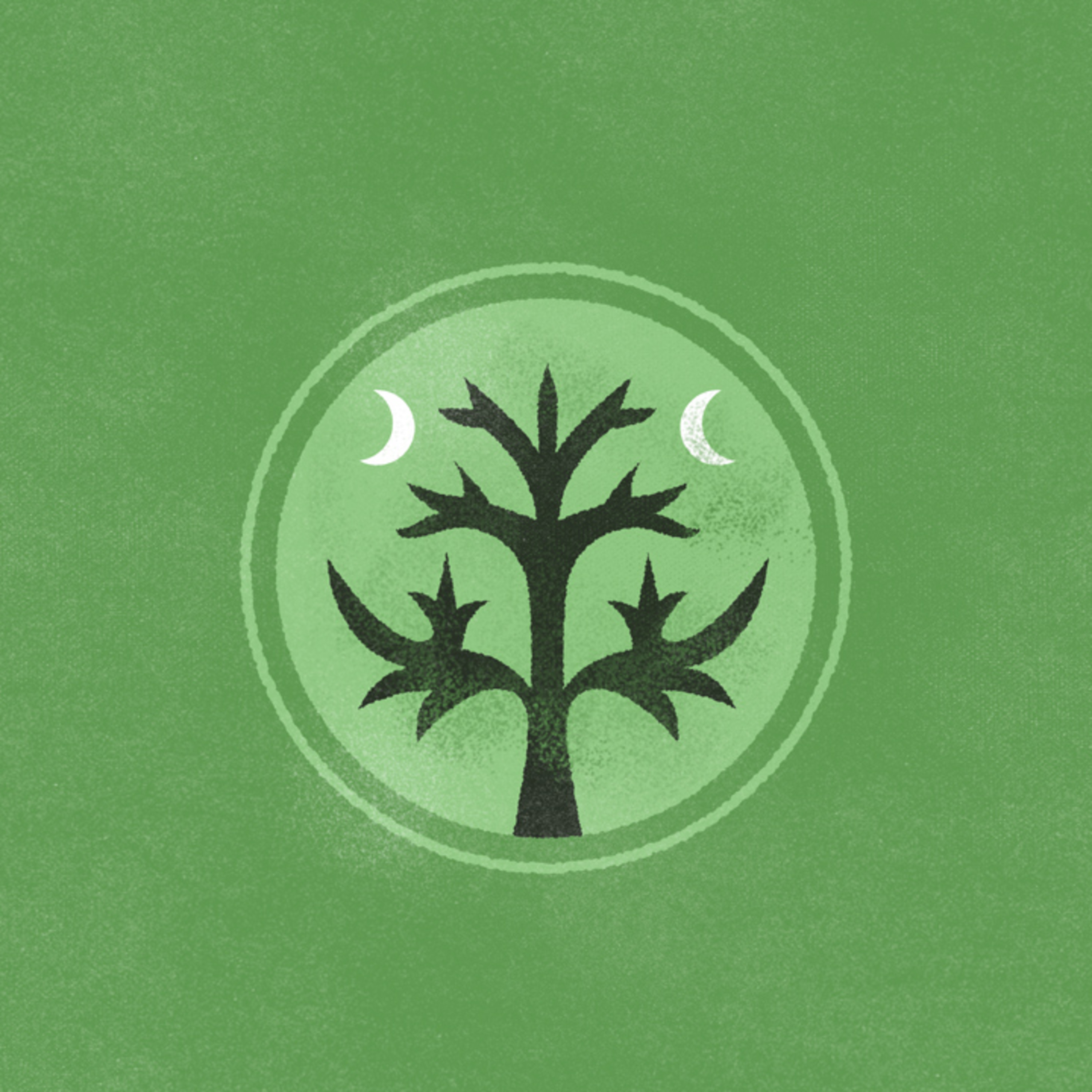 🦊 Le premier tome des aventures de Nemrod vient de sortir 🌿