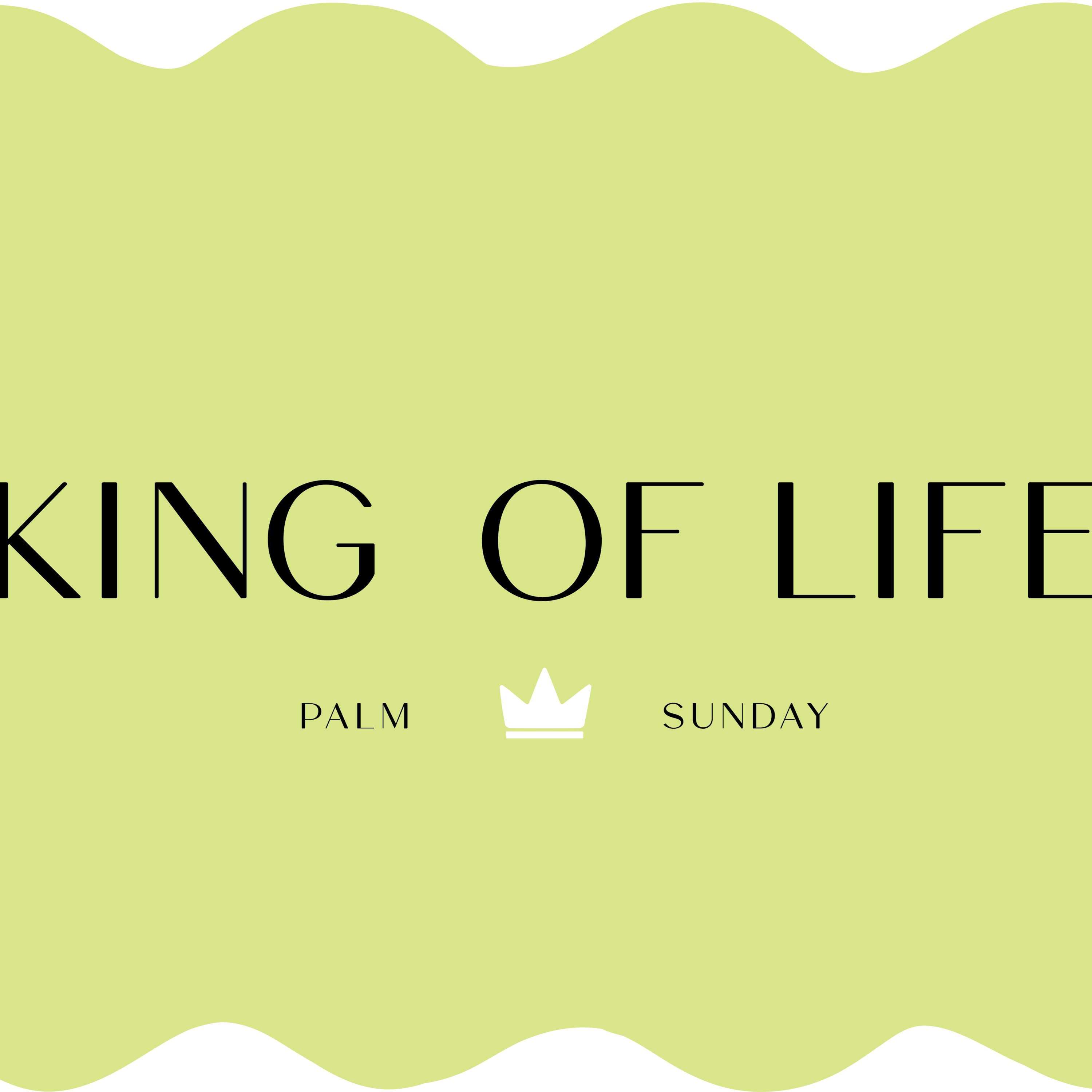 King of Life episode artwork