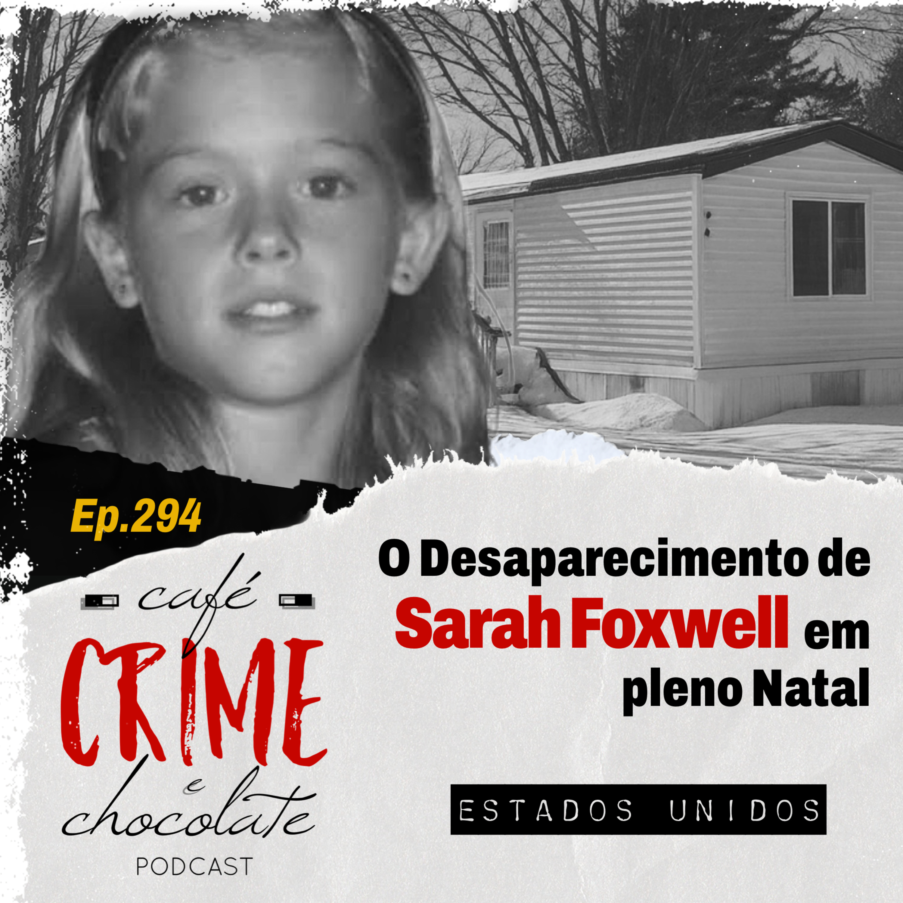 294- O Desaparecimento de Sarah Foxwell em Plena Véspera de Natal | EUA 294- O Desaparecimento de Sarah Foxwell em Plena Véspera de Natal | EUA