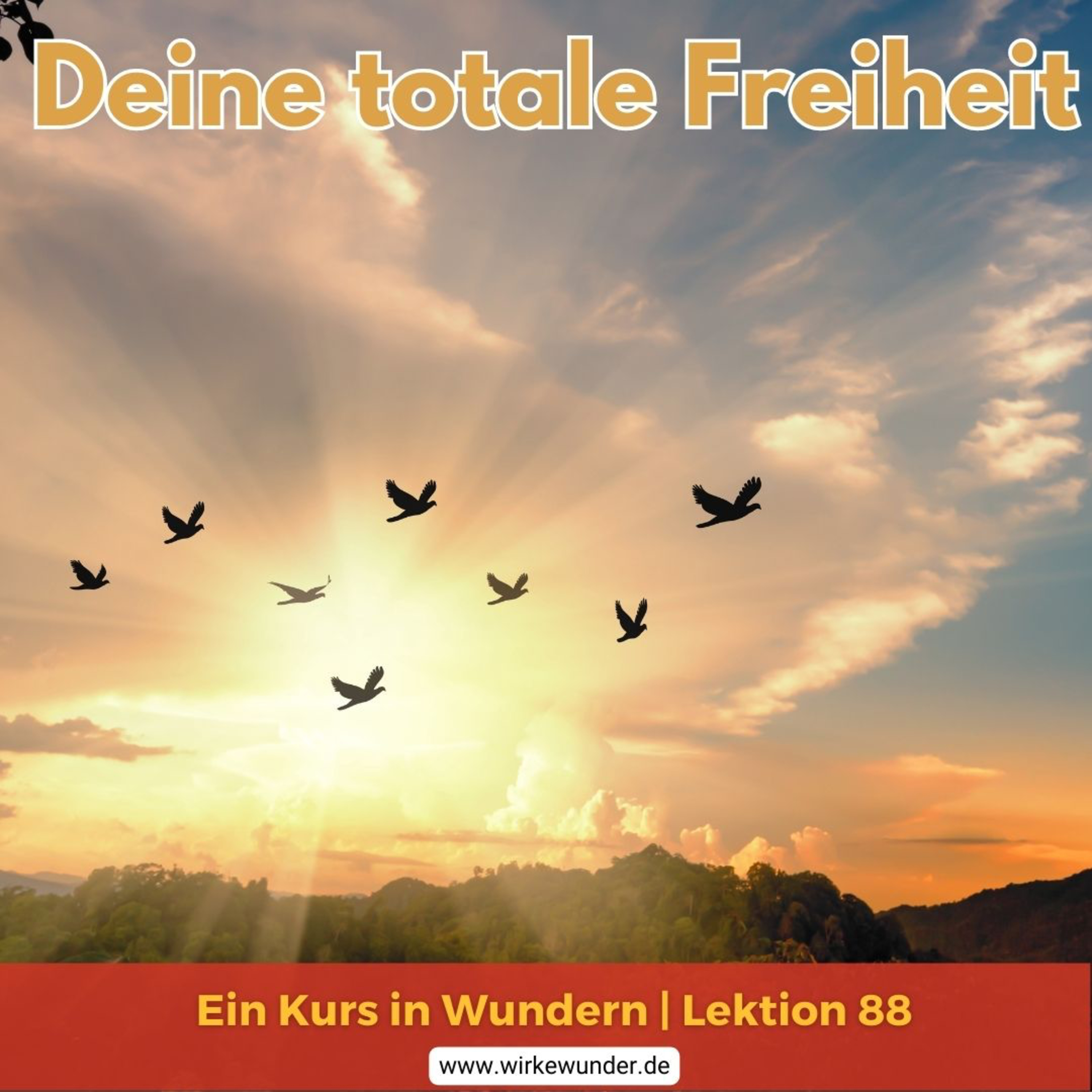 Wirke Wunder