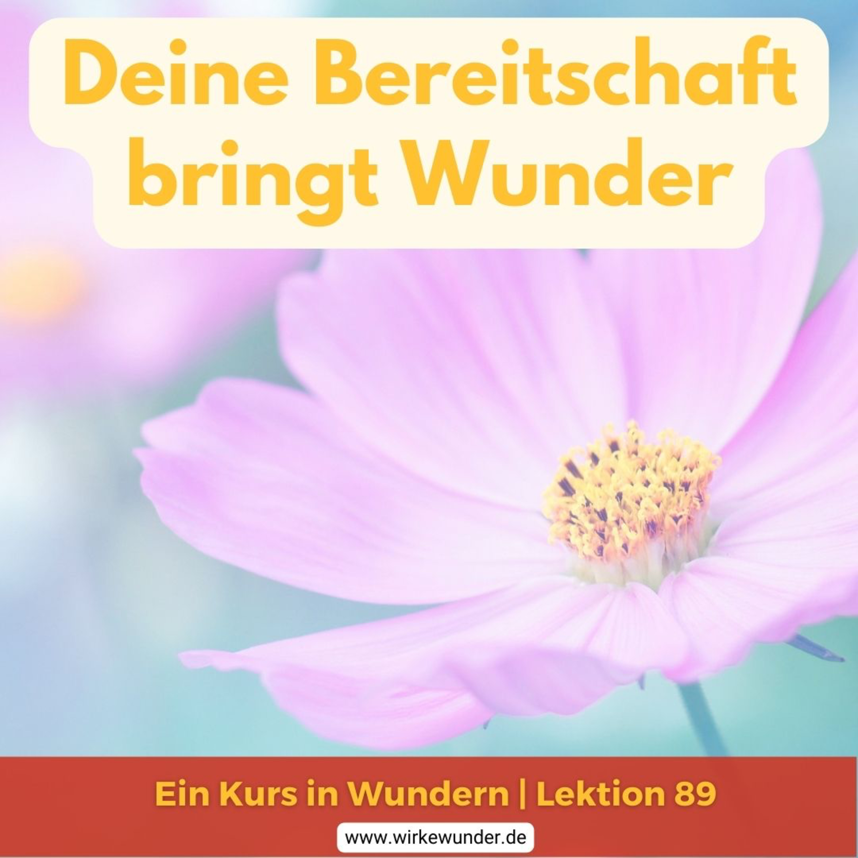 Wirke Wunder