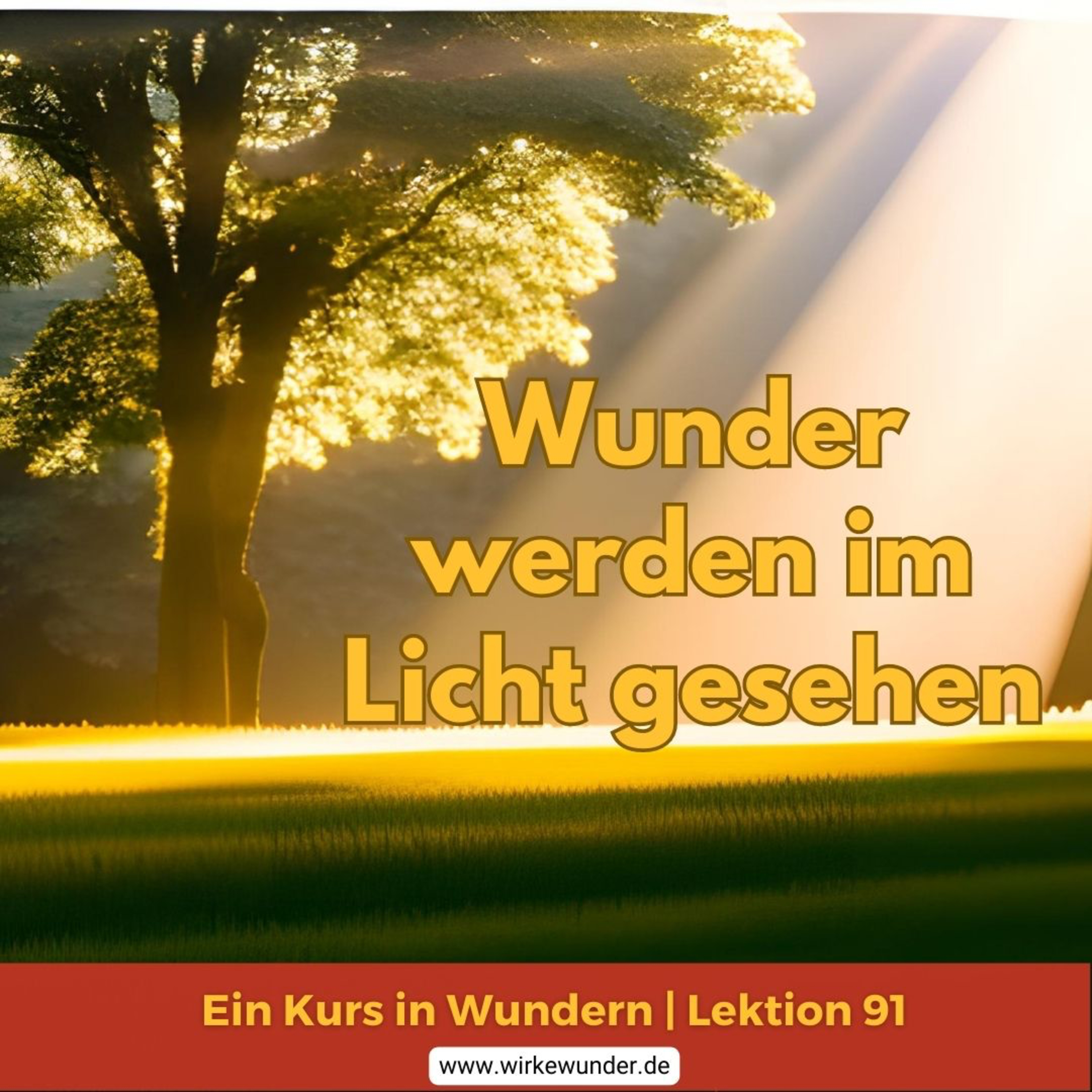 Wirke Wunder