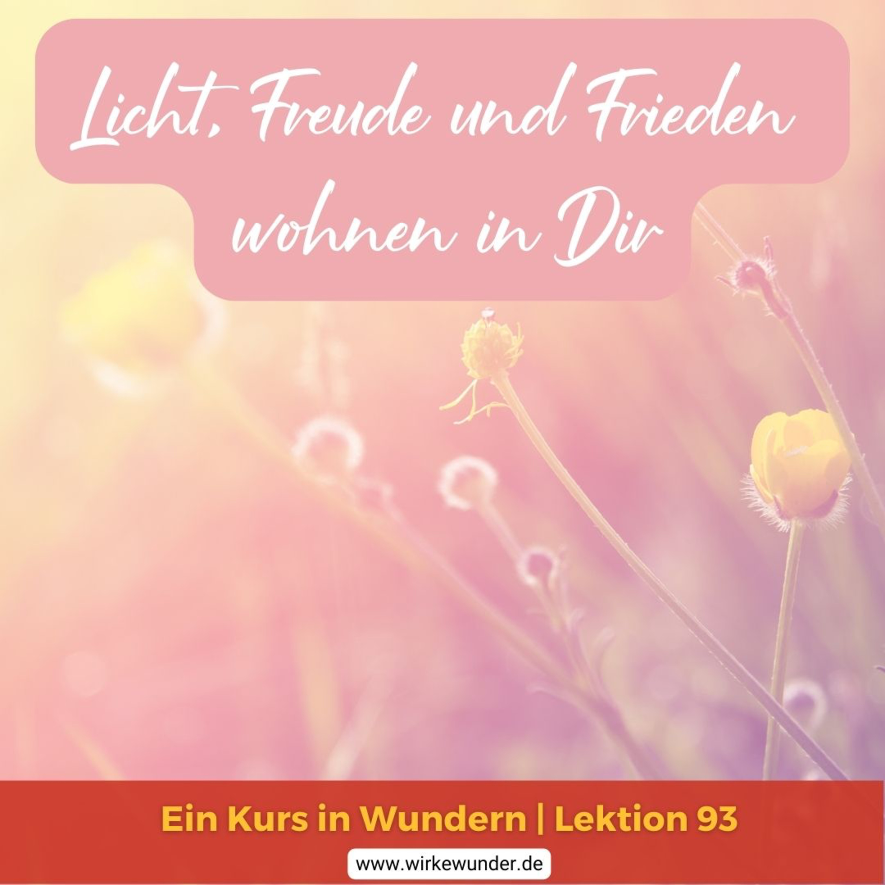 Wirke Wunder