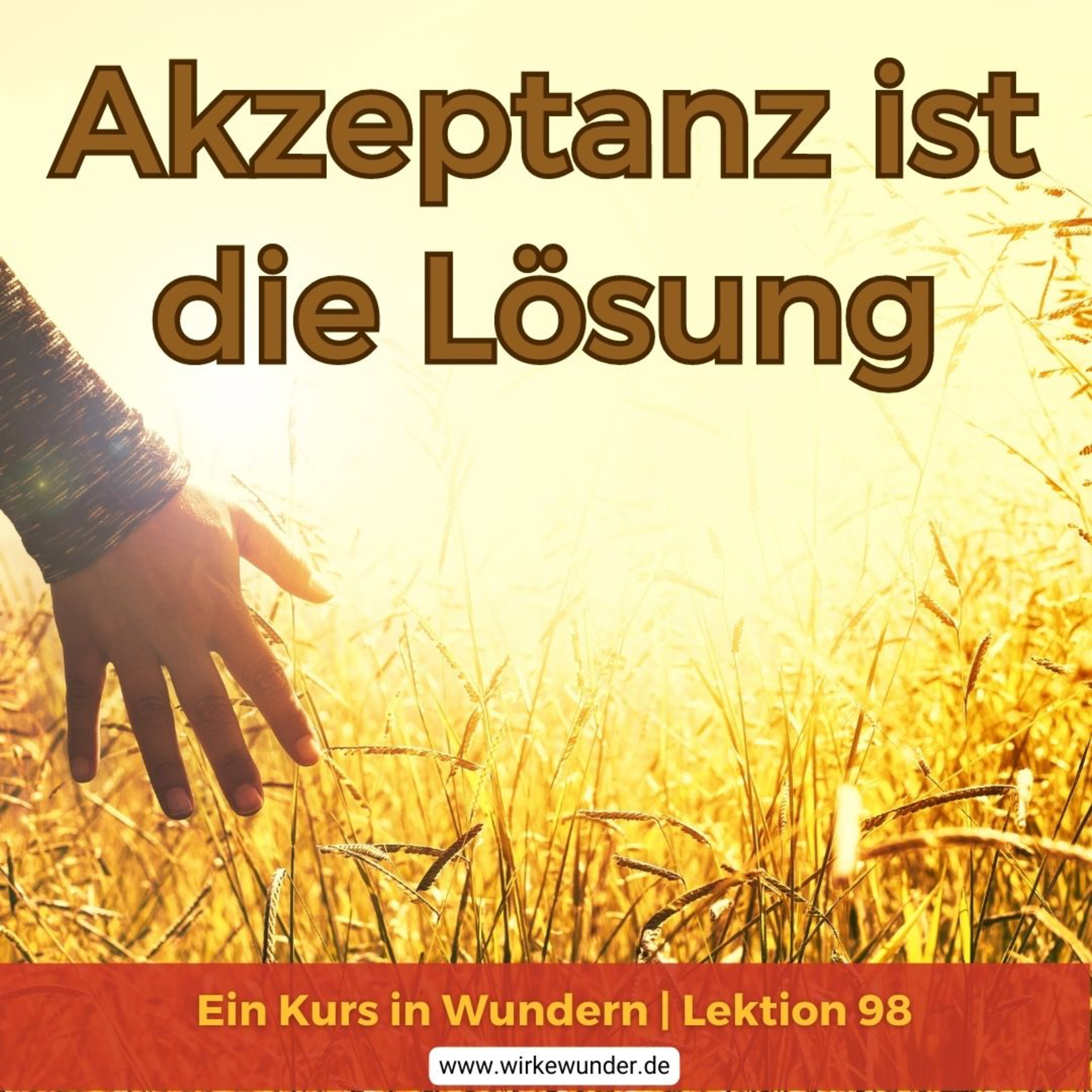 Wirke Wunder