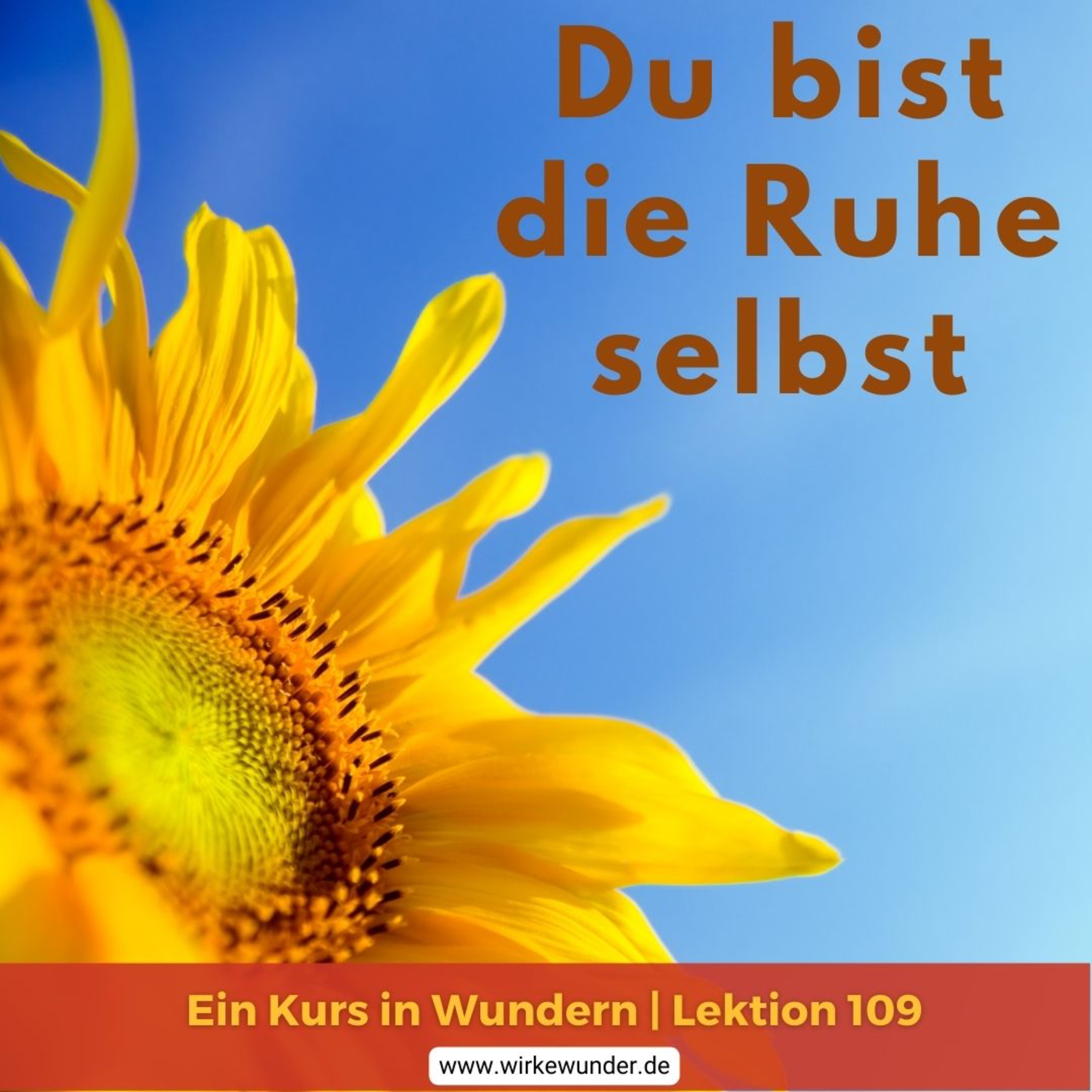 Wirke Wunder