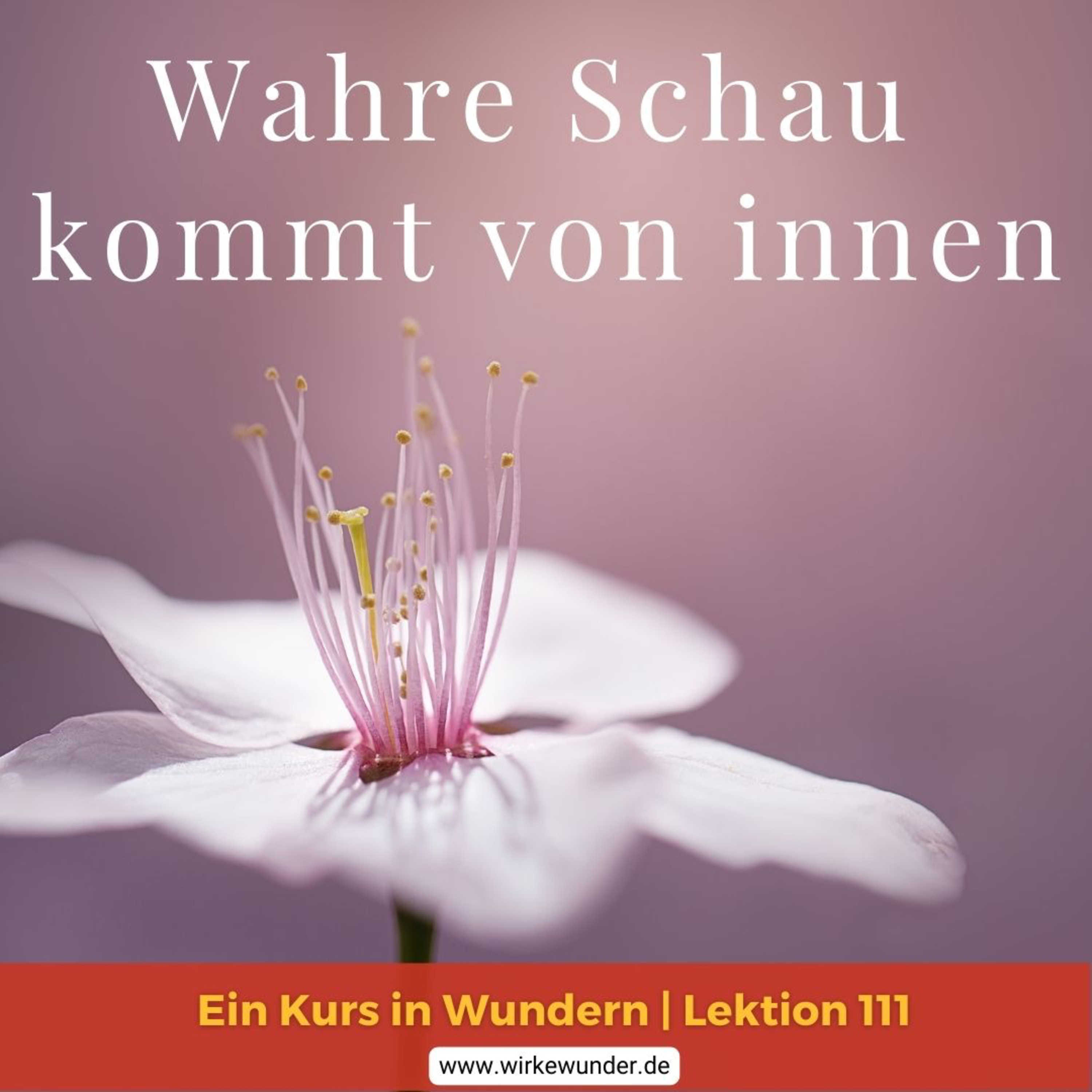 Wirke Wunder
