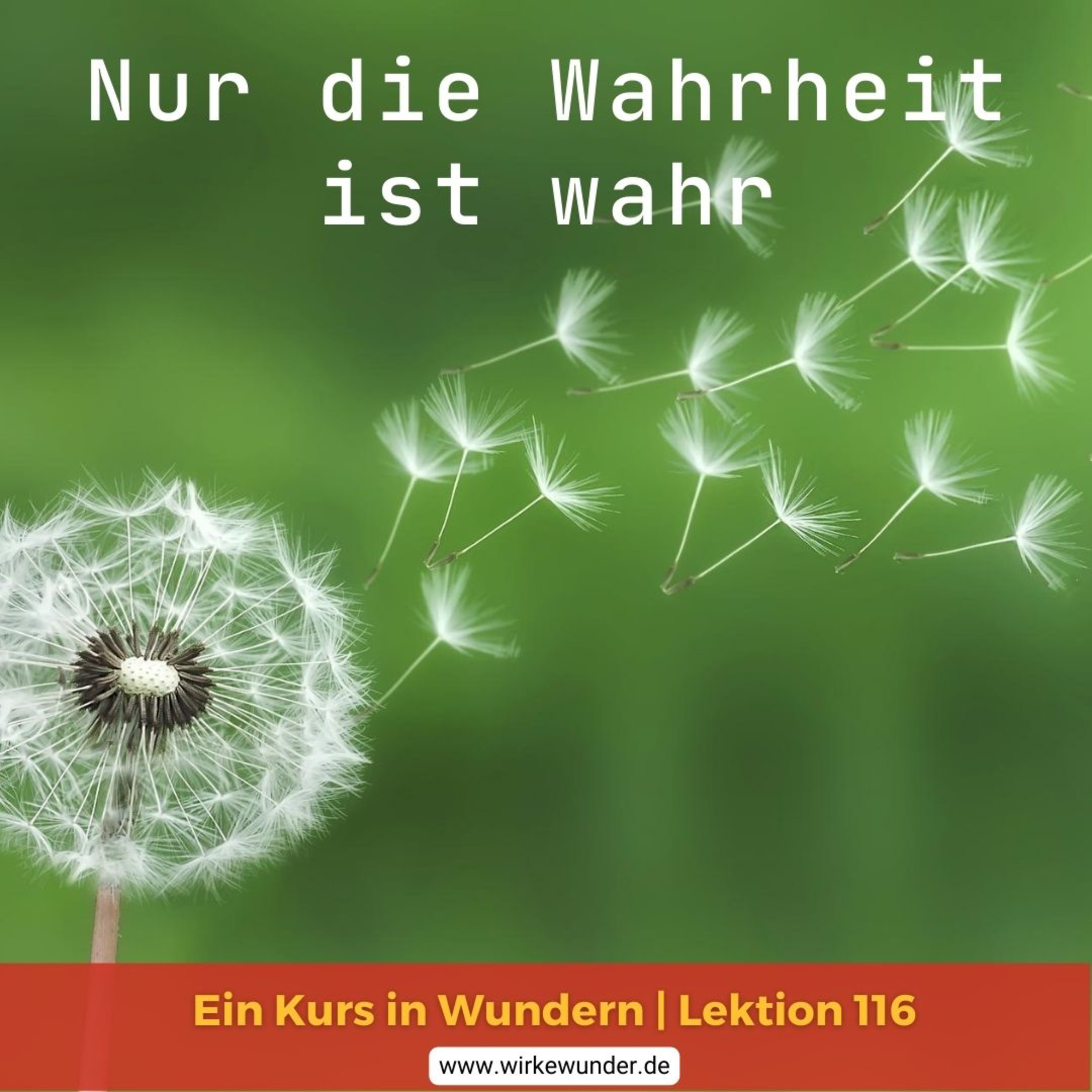 Wirke Wunder