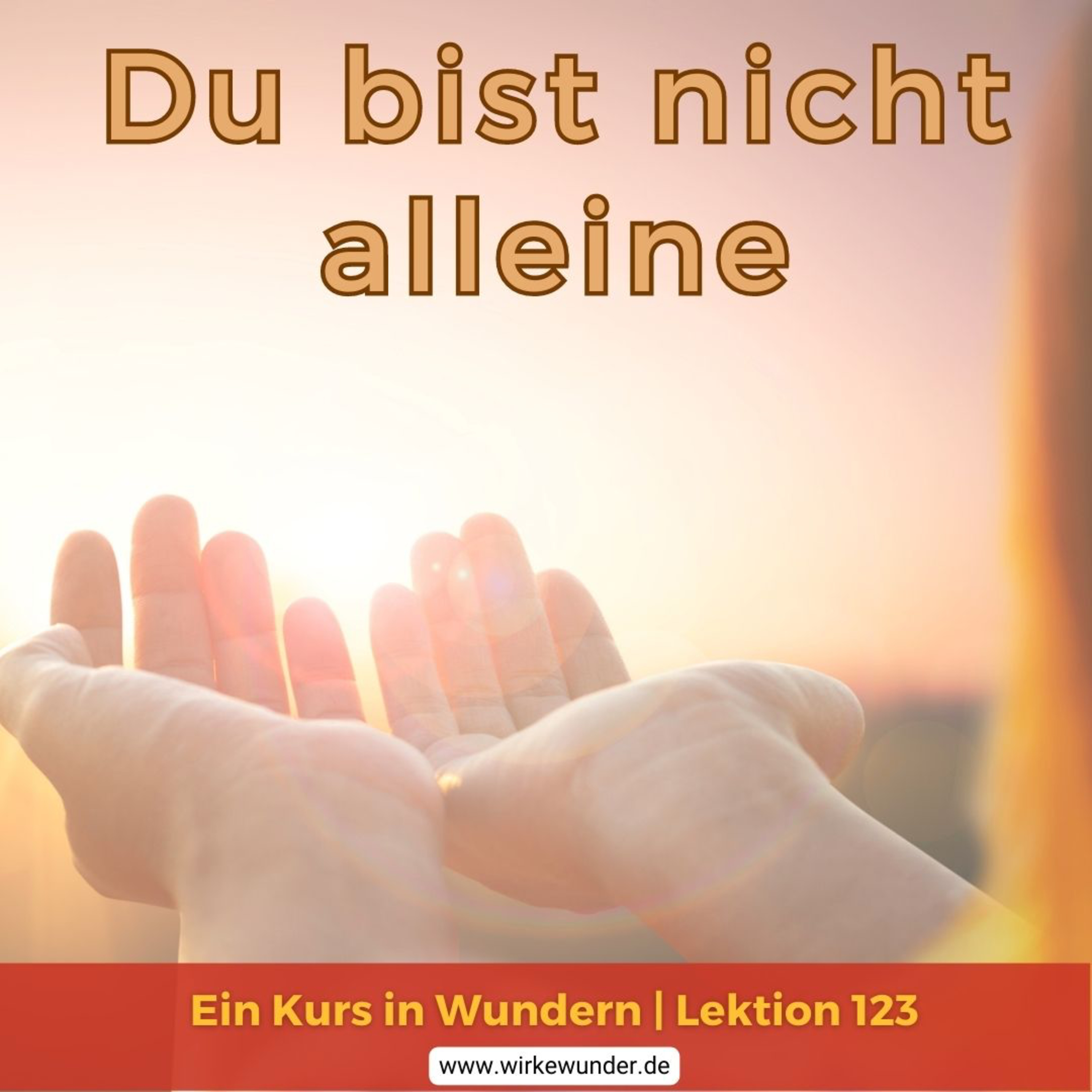 Wirke Wunder