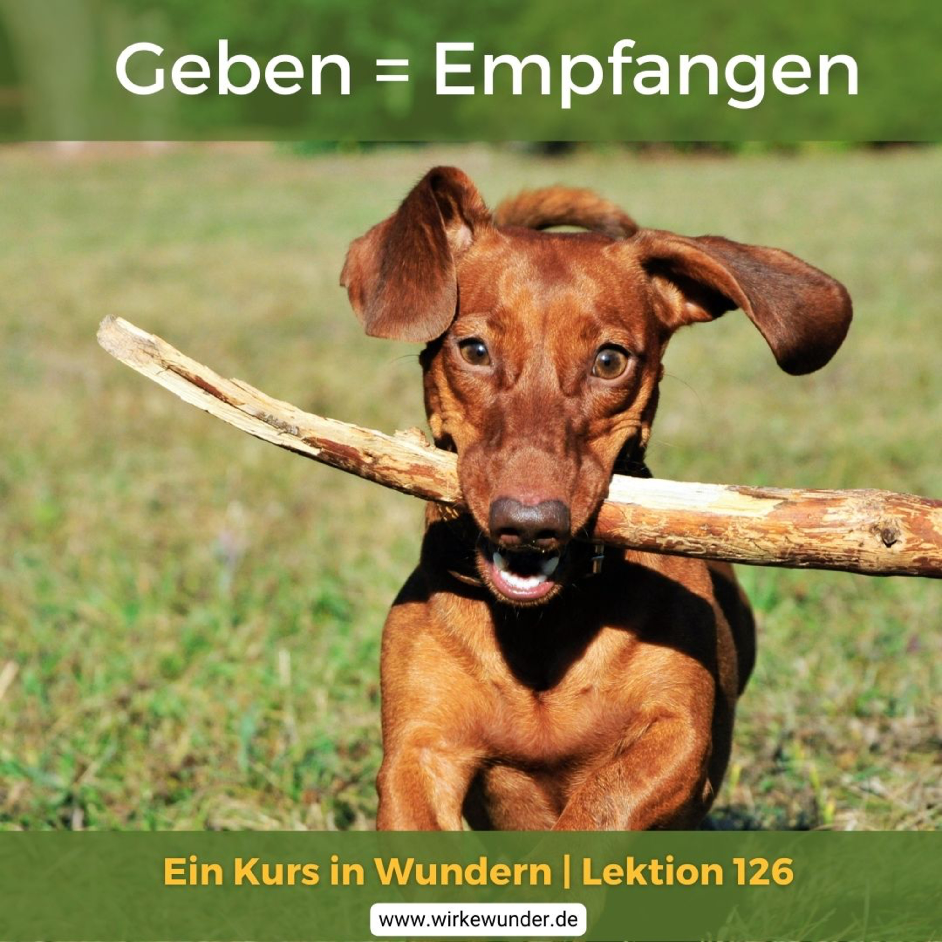 Wirke Wunder
