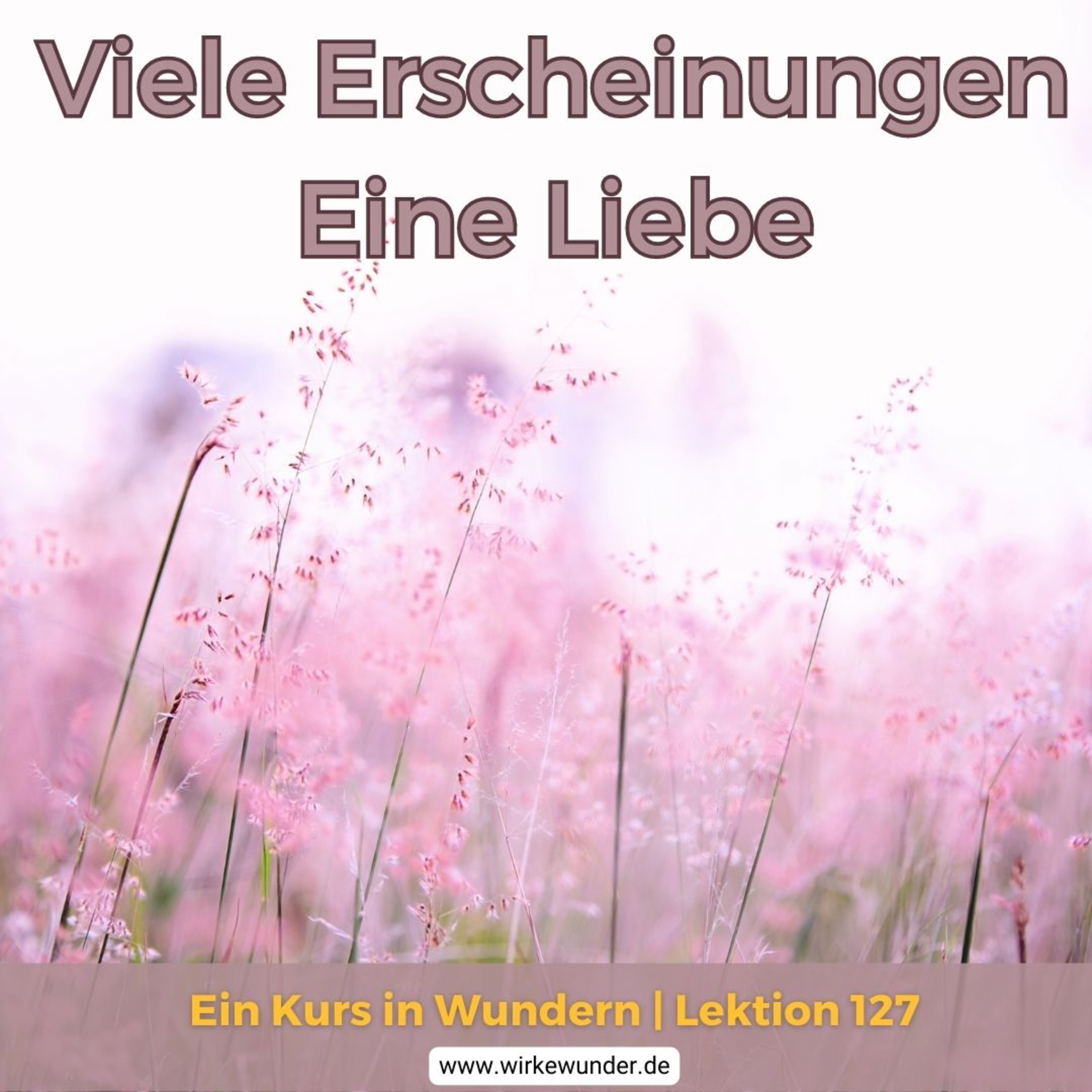 Wirke Wunder