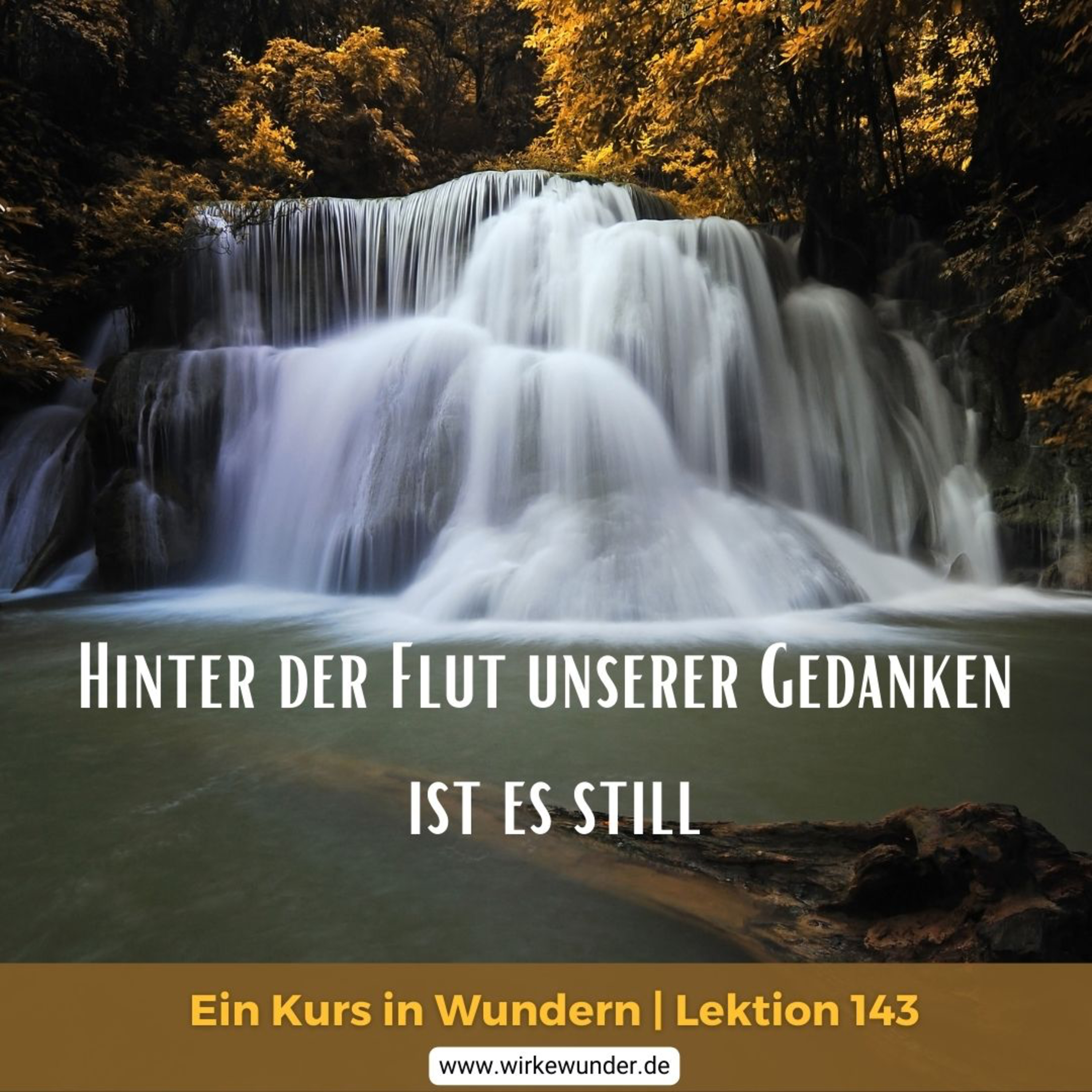 Wirke Wunder