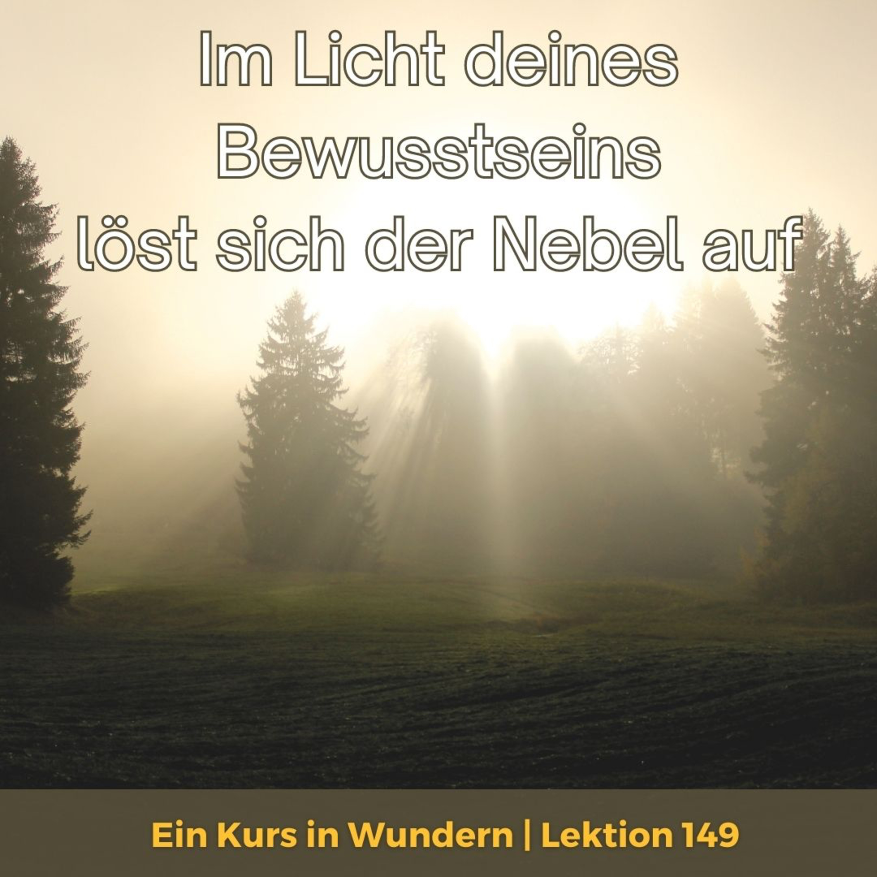 Wirke Wunder