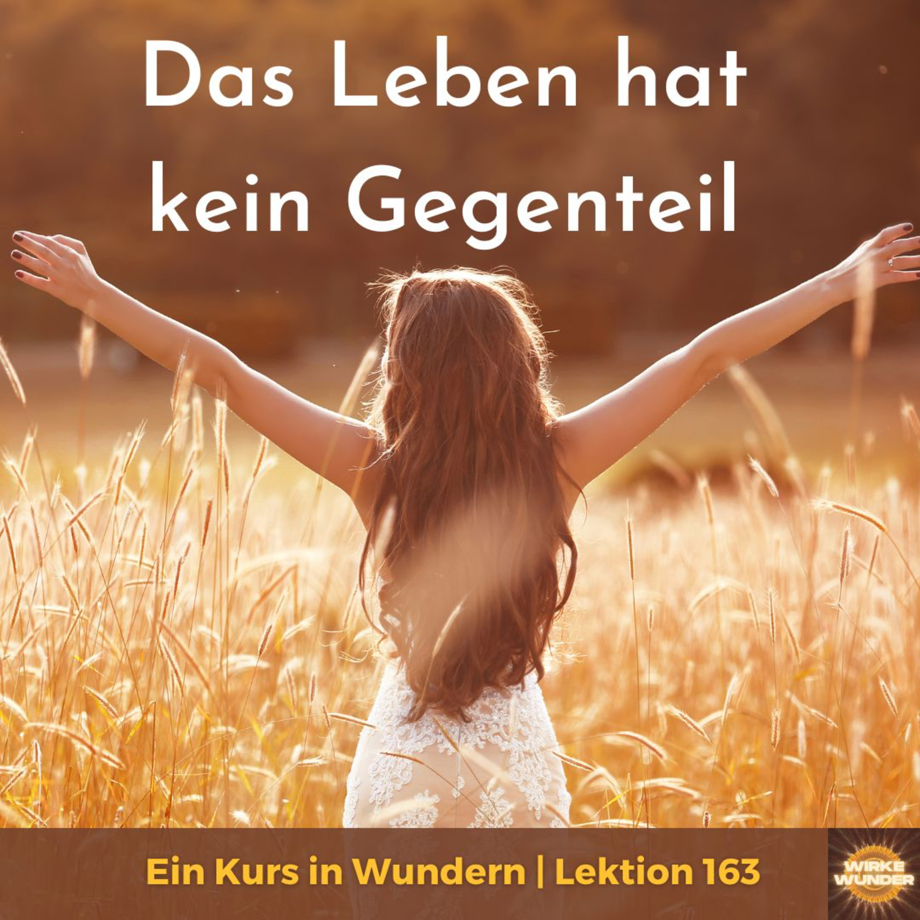 Wirke Wunder