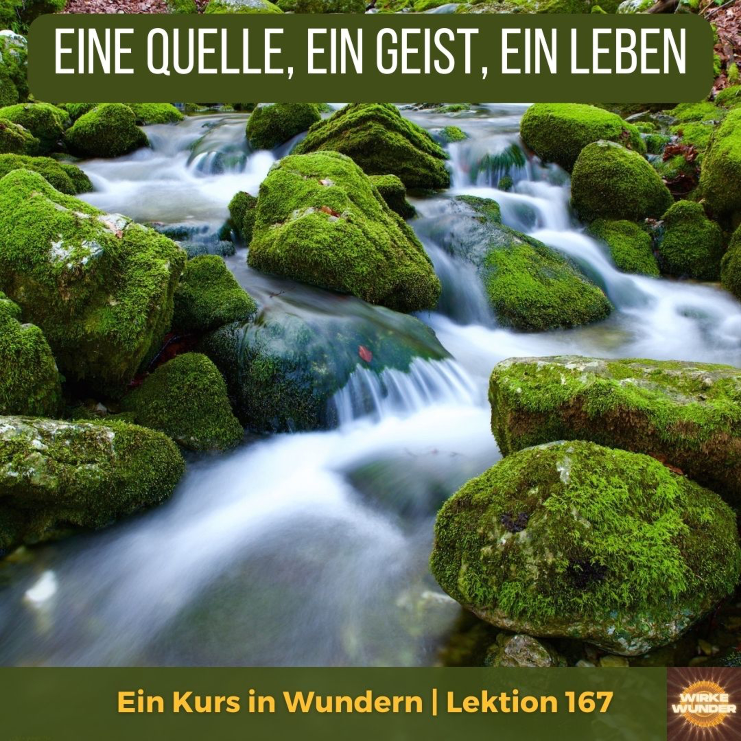 Wirke Wunder